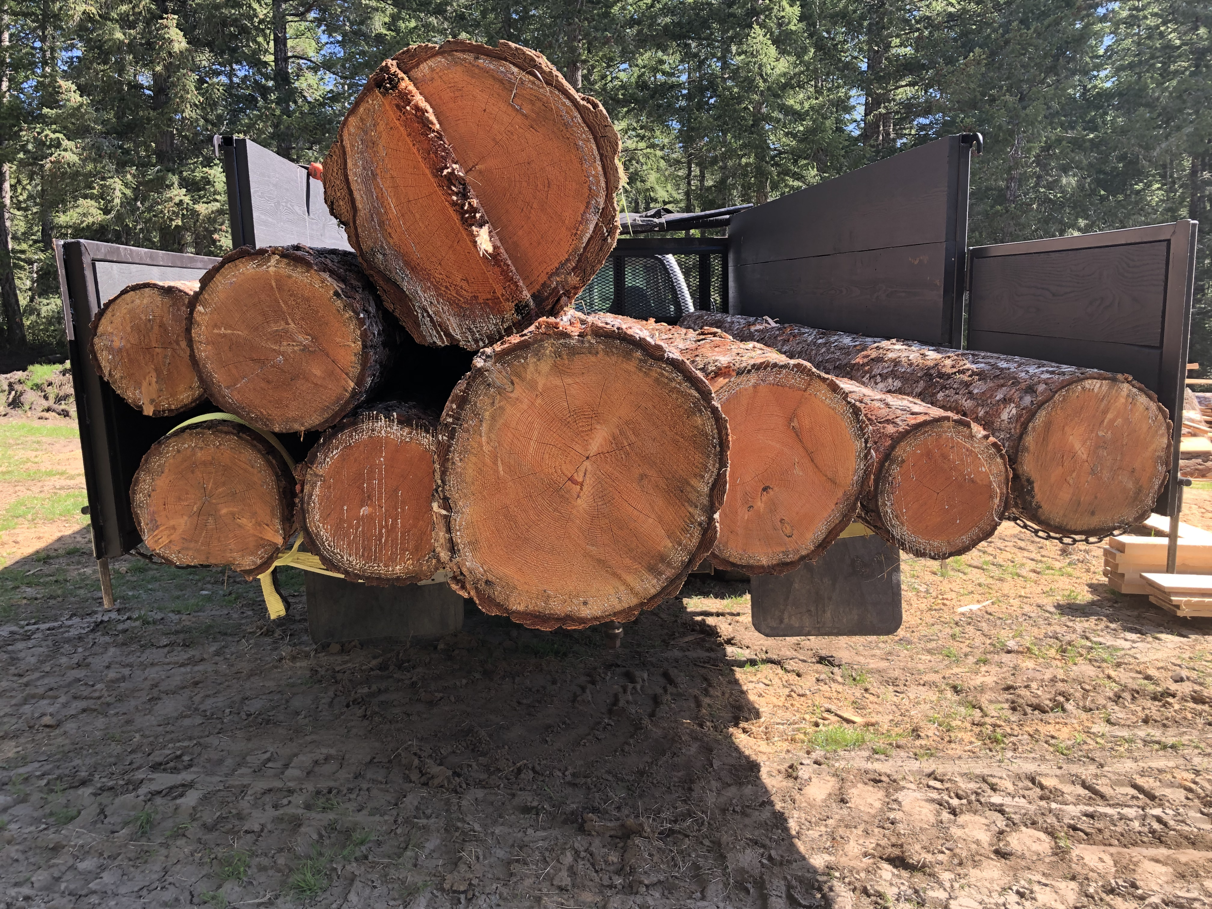log pile in truck.png