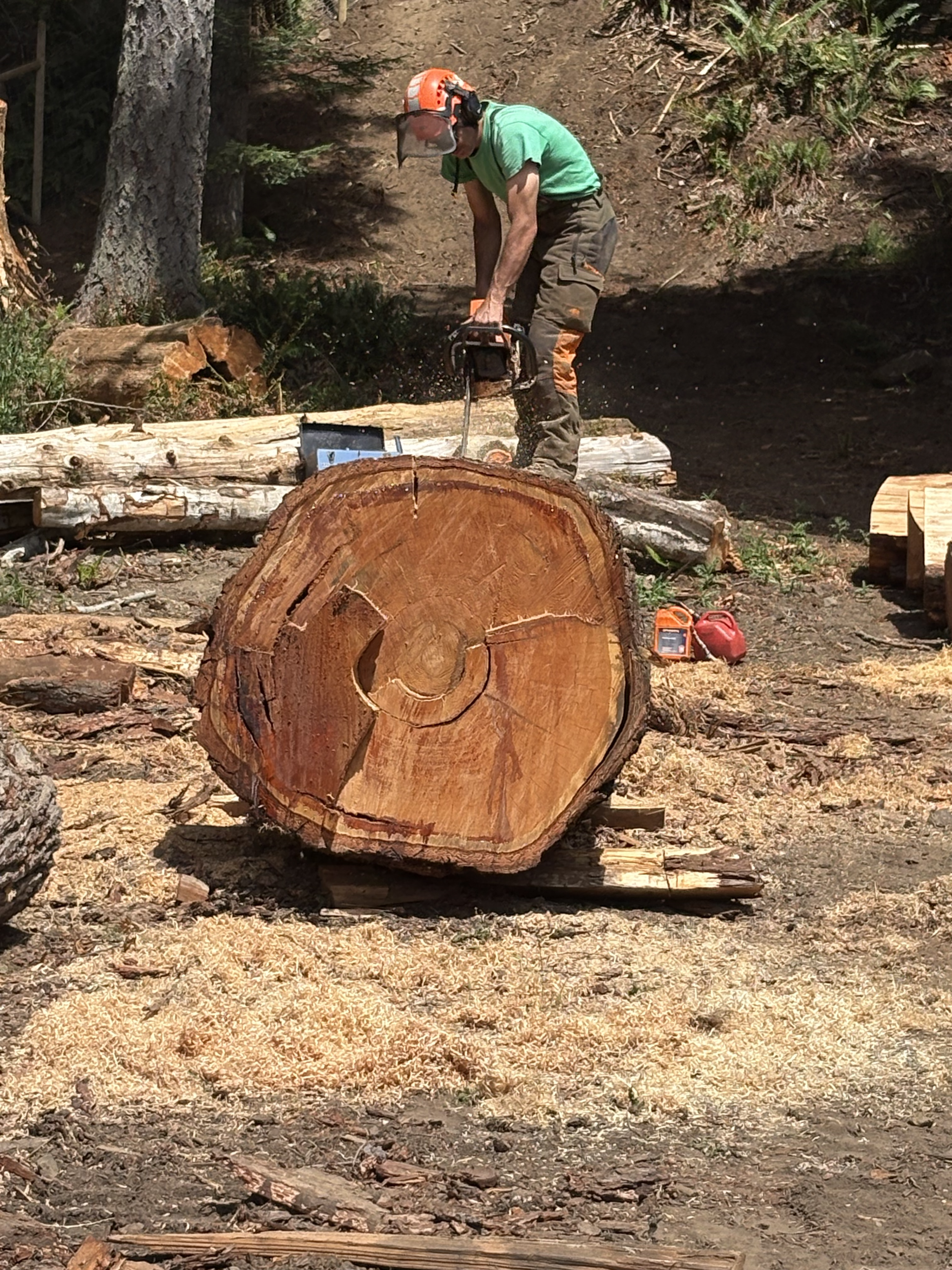 quarter sawing log.png