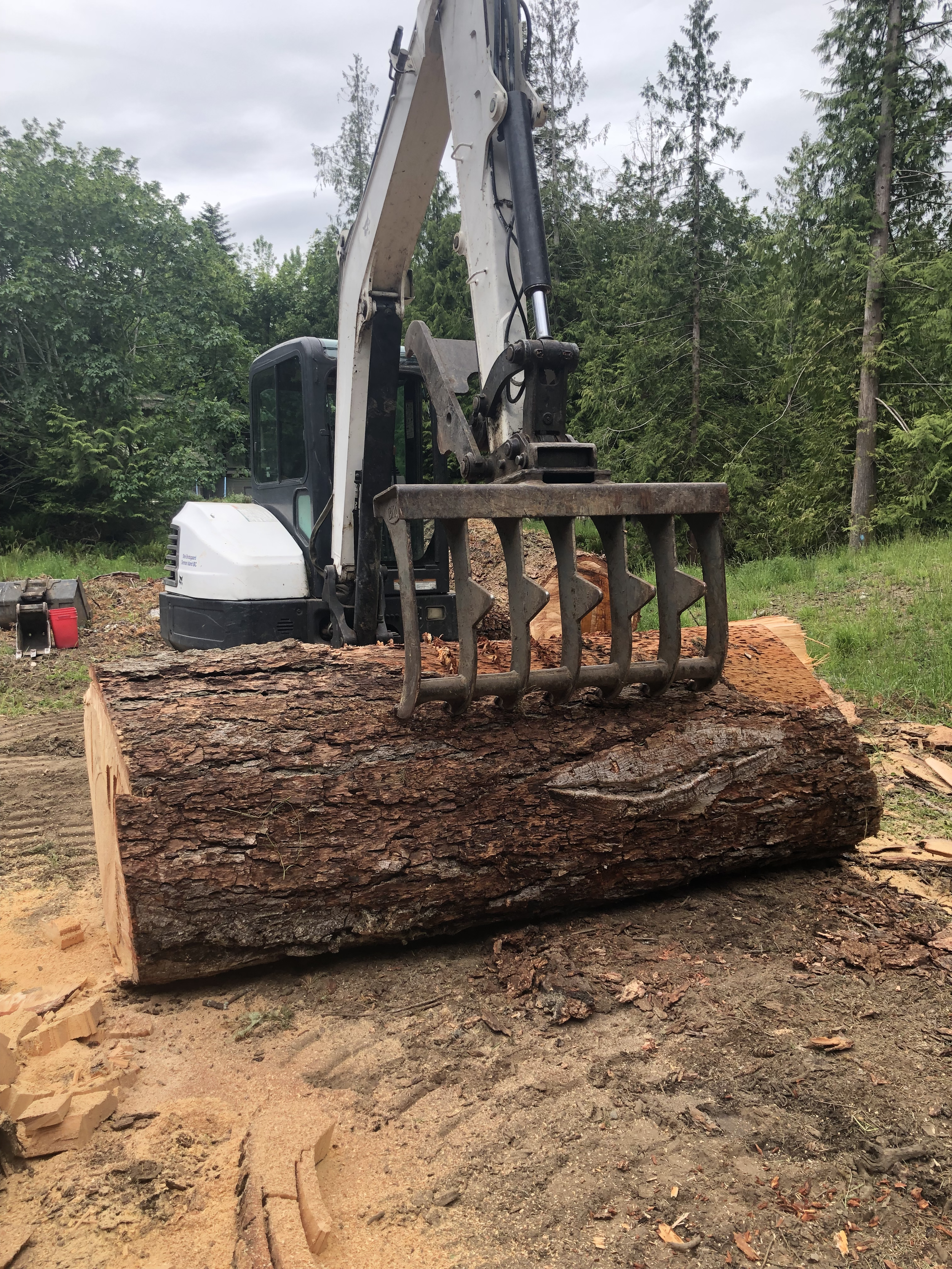 excavator on log.png