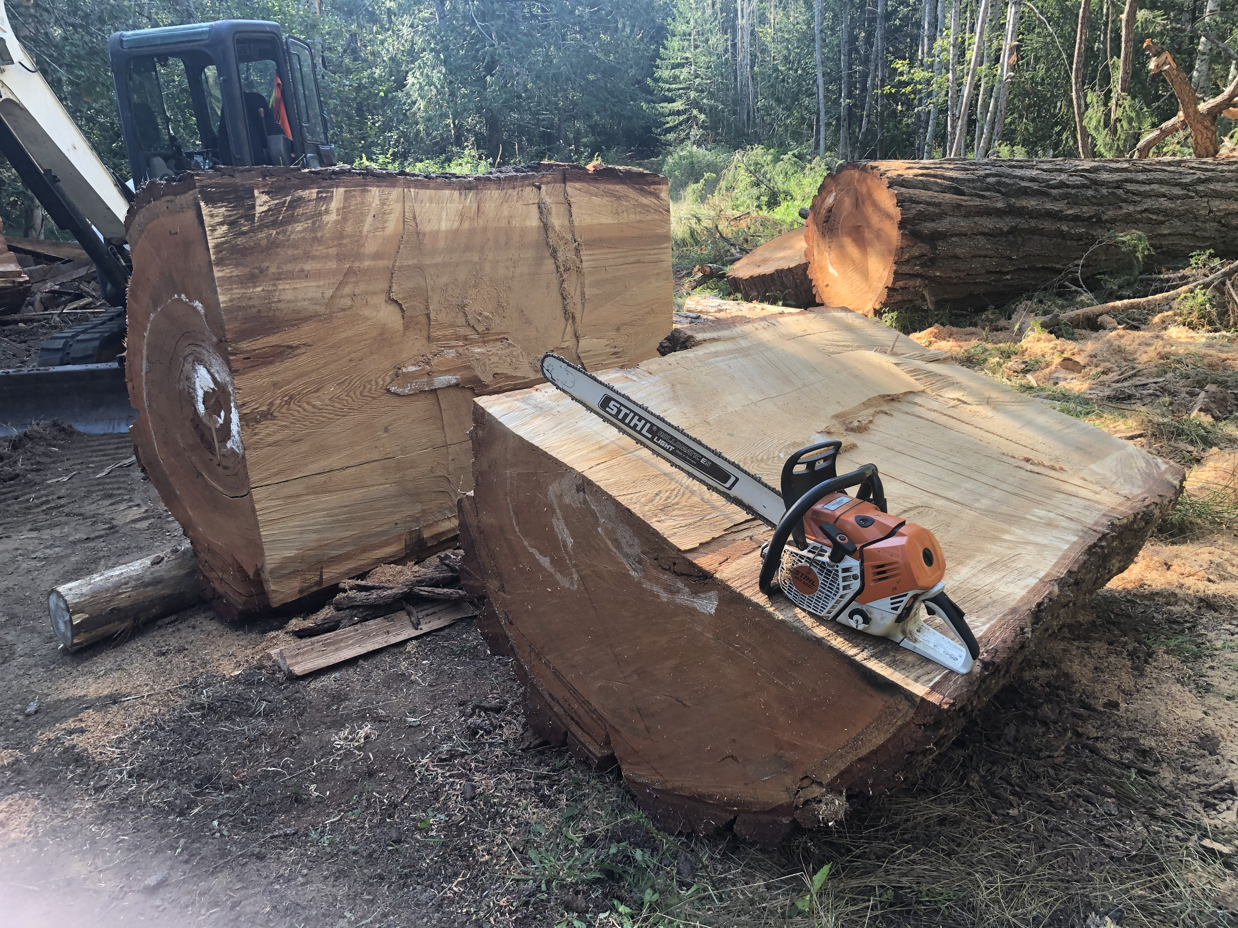 large log and chainsaw.png