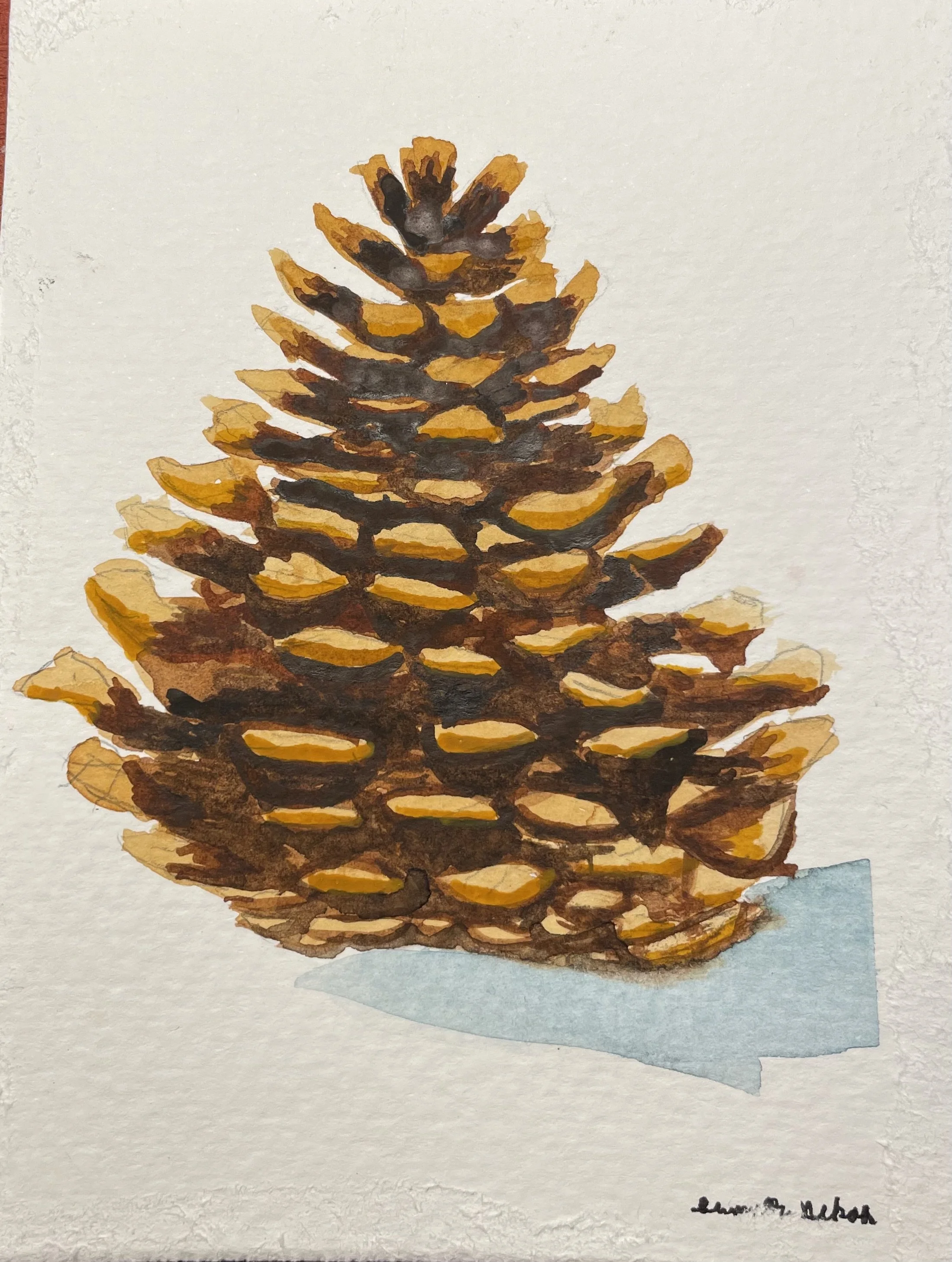 A watercolor painting of a pine cone on a snowy background.