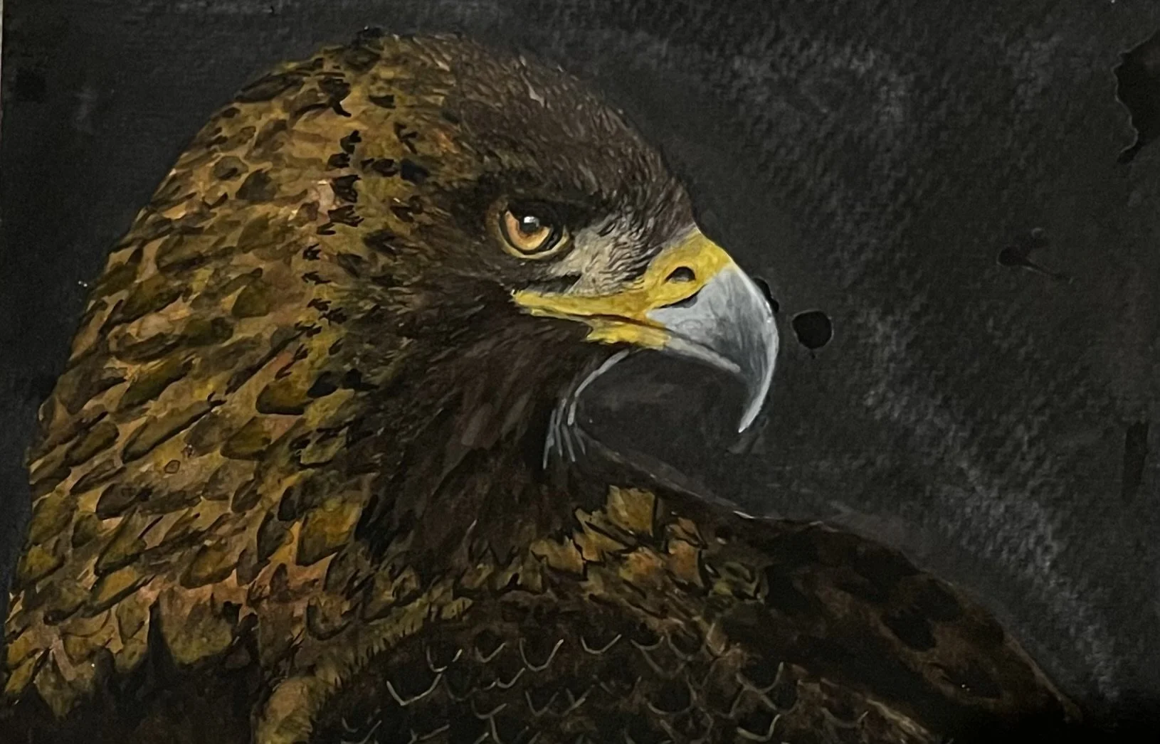 Close-up of a golden eagle's head with piercing eyes and sharp beak, against a dark background.