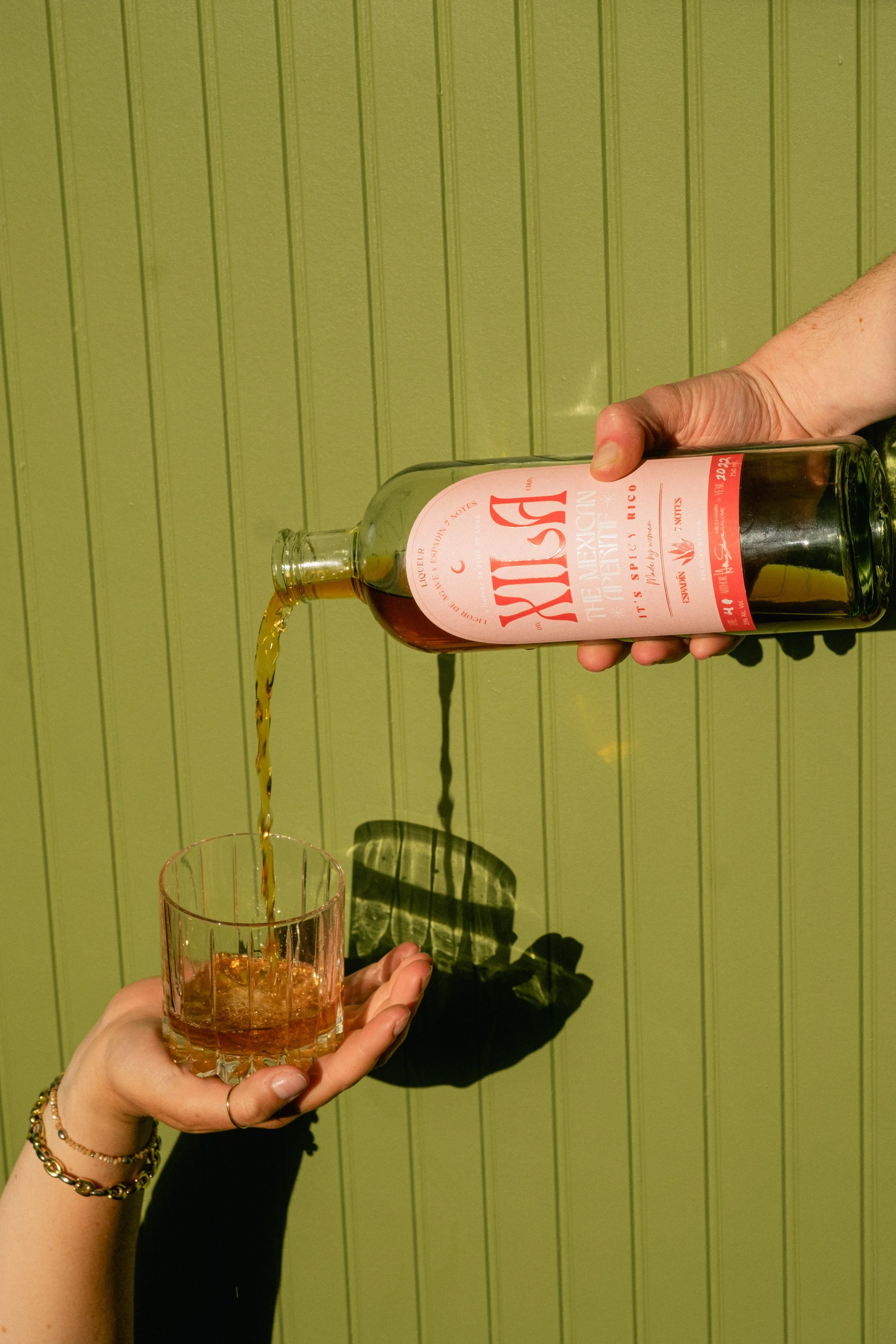 Copy of Oystercatcher_Photos-10.jpg