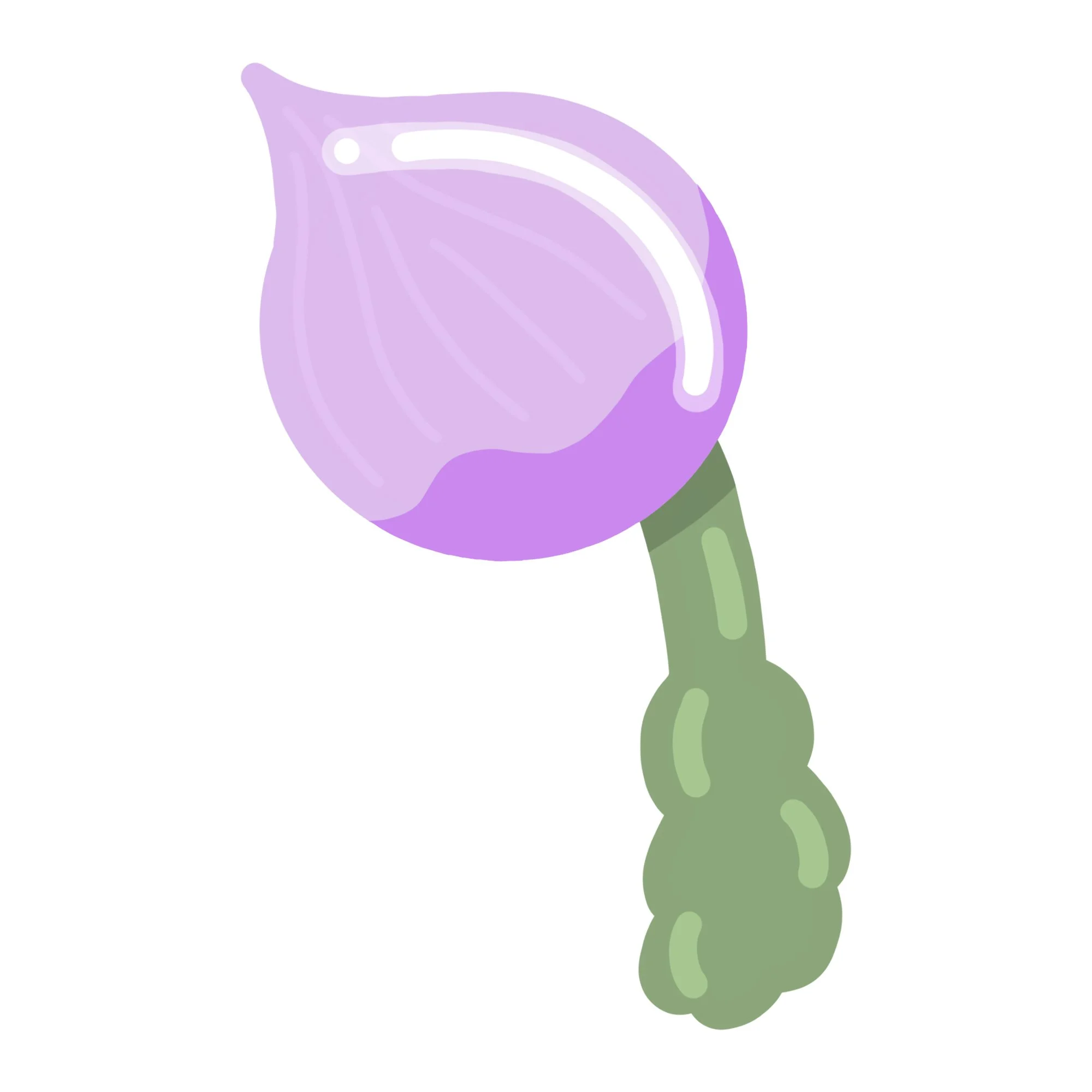 Stylized illustration of a purple onion with a green stem on a white background.