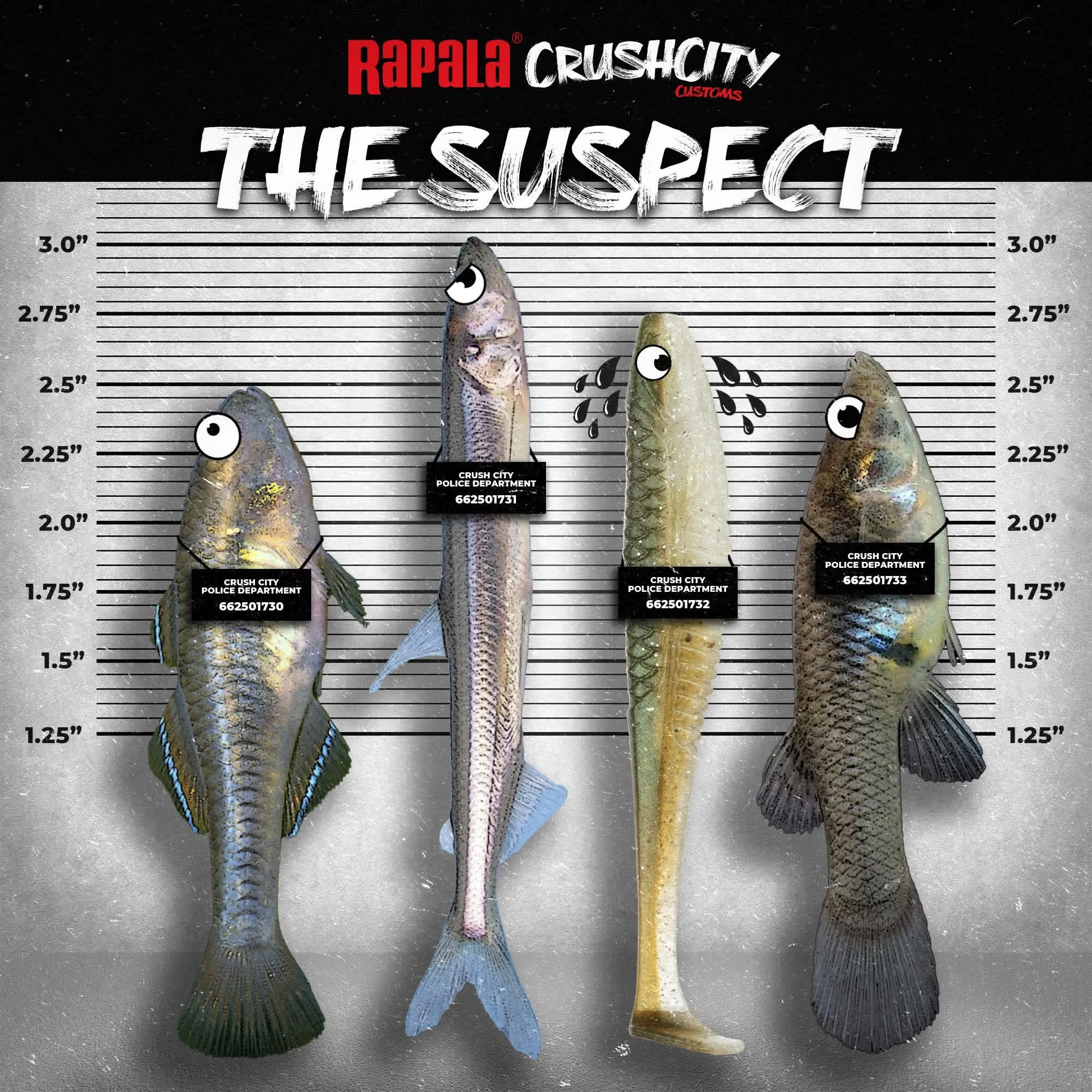 Four fish with labels and cartoon eyes, standing against a height measurement chart, with city police department tags.