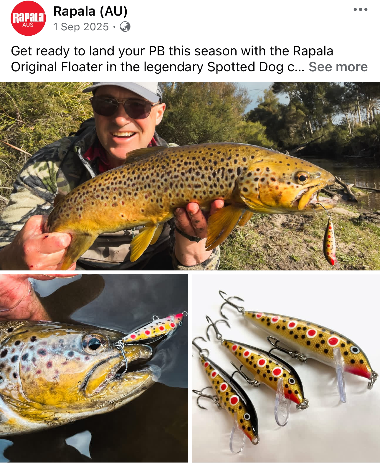 A man in sunglasses holds a large spotted fish, likely a brown trout, near a riverbank. The image also shows close-up of the fish with a fishing lure in its mouth, and four fishing lures with yellow, red, and black spots on a white background, placed