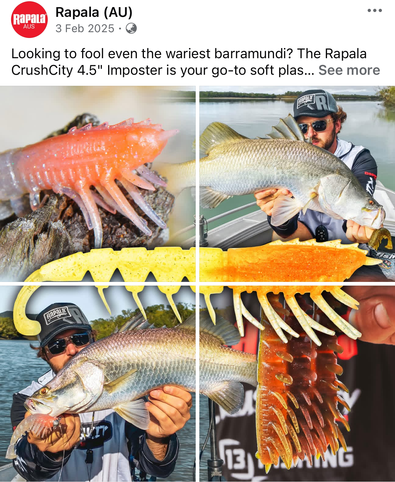 A collage of four images featuring fishing and bait. The top left shows a close-up of a pinkish-orange fish and a yellow soft plastic lure. The top right shows a man holding a large fish in a boat on a lake, wearing sunglasses and a cap. The bottom l