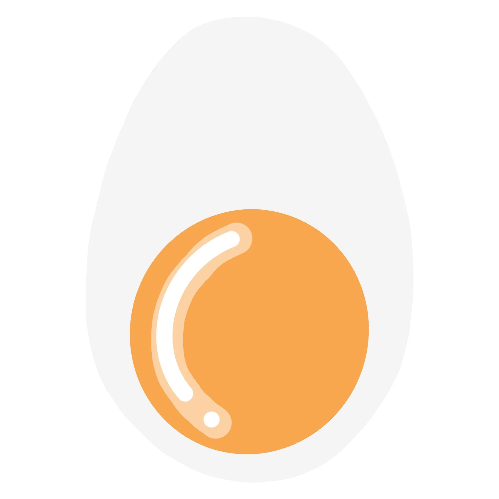 Illustration of a fried egg with a white egg white and orange yolk.