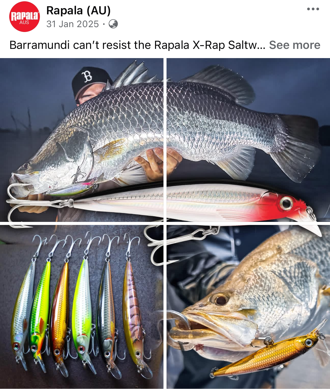 A person holding a large fish with fishing lures attached, various colorful fishing lures displayed below, and a close-up of another fish with a lure in its mouth.