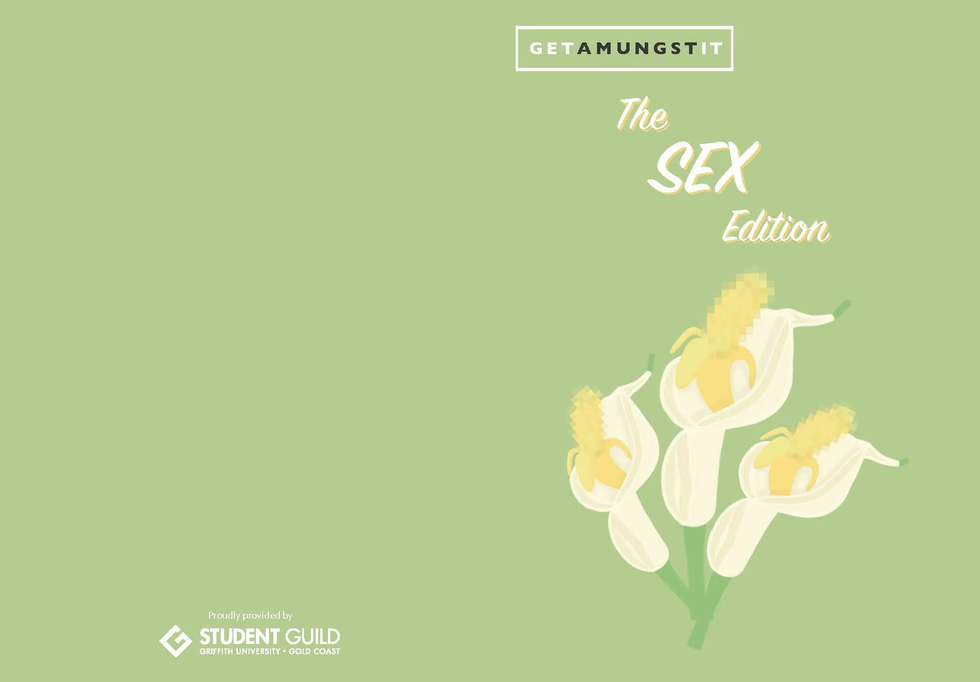 Cover page of a magazine titled 'Get a Mung Stit: The Sex Edition', featuring a stylized illustration of a bunch of graham crackers with melting yellow marshmallow filling on a light green background.