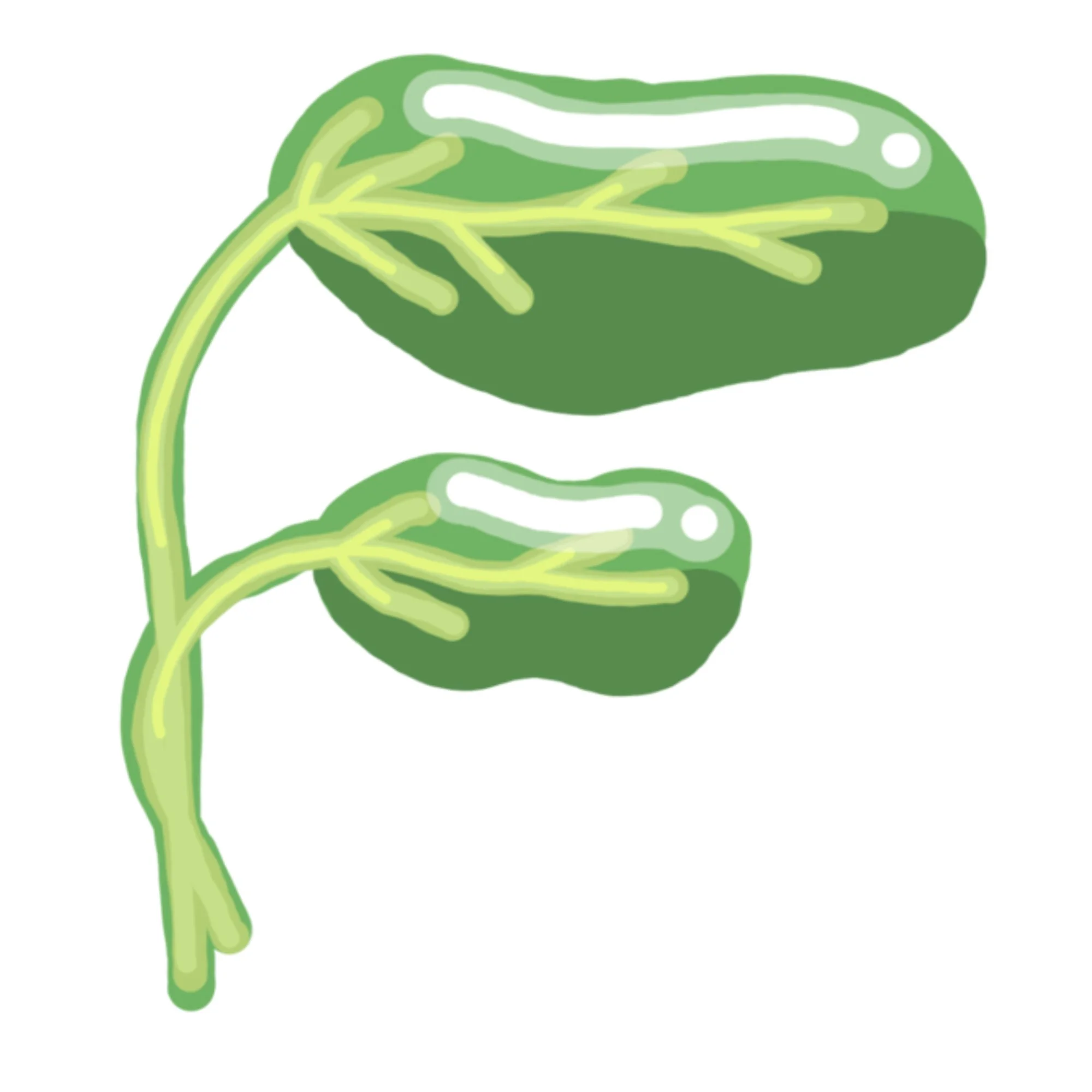 Illustration of two green spinach leaves connected by a stem.
