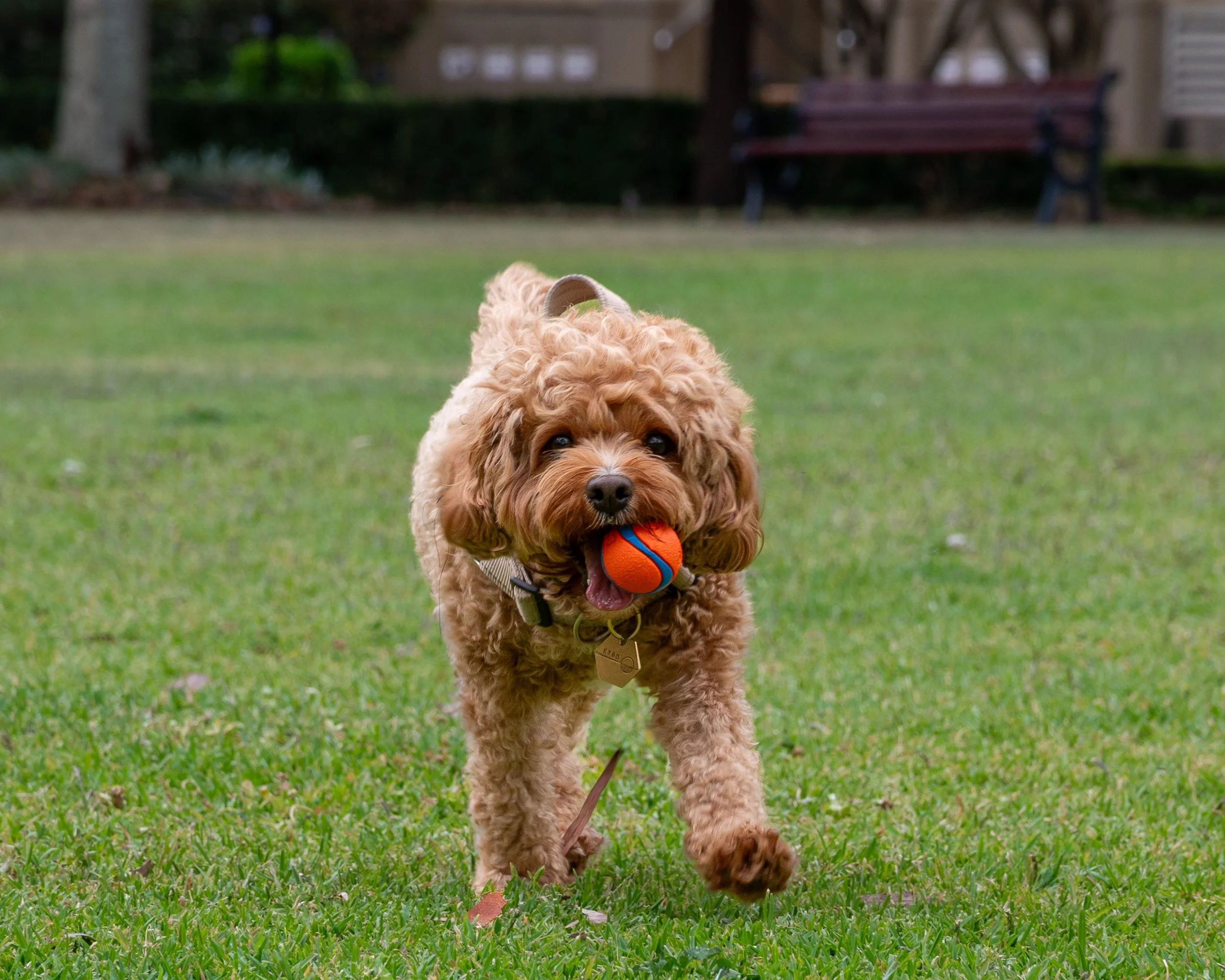 DSC_7721.jpg