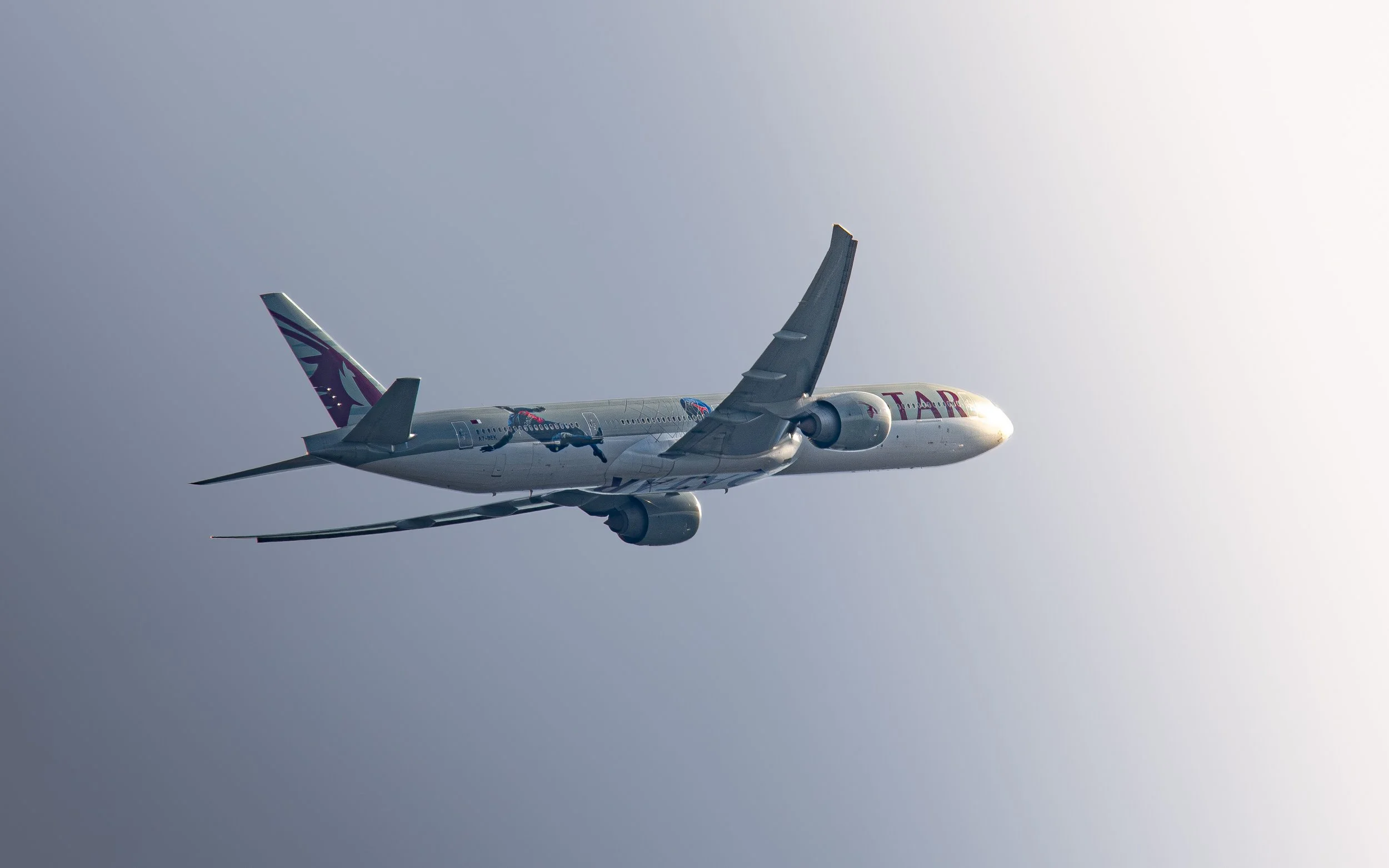 DSC_7794.jpg