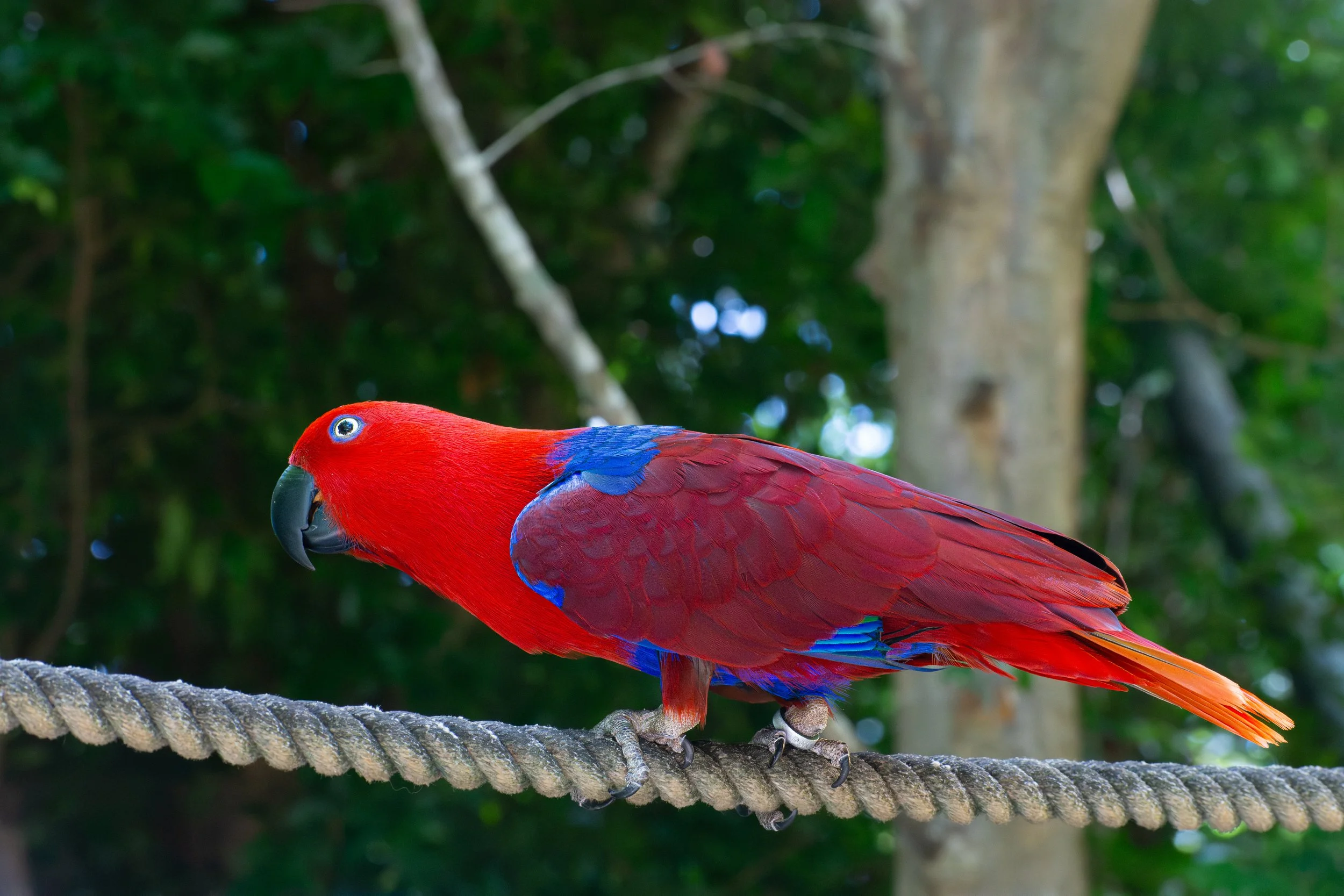DSC_4543.jpg