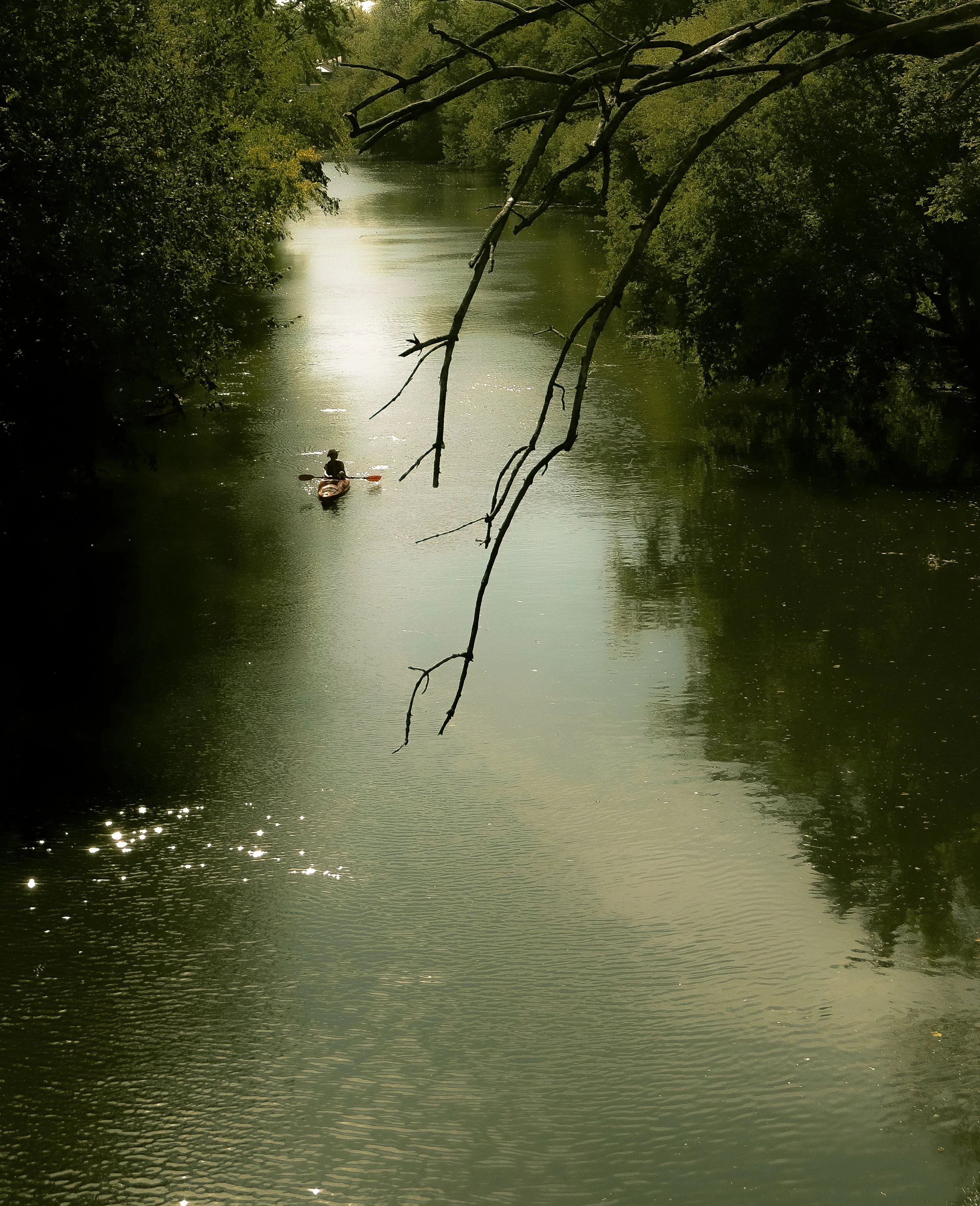 Kayaker in a river