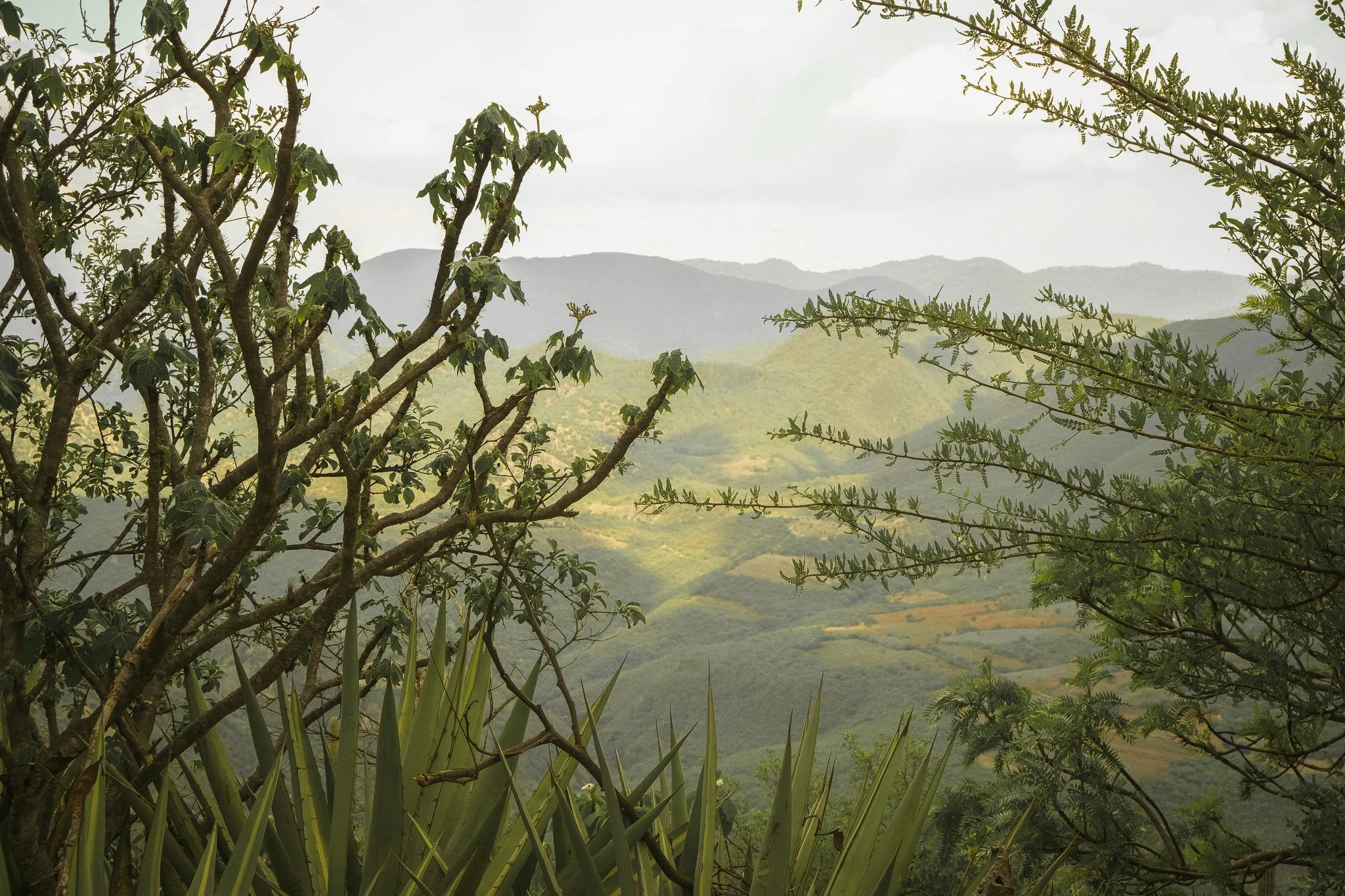 FUJIFILM X-T30 II 6240x4160_000600 copy-2.jpg