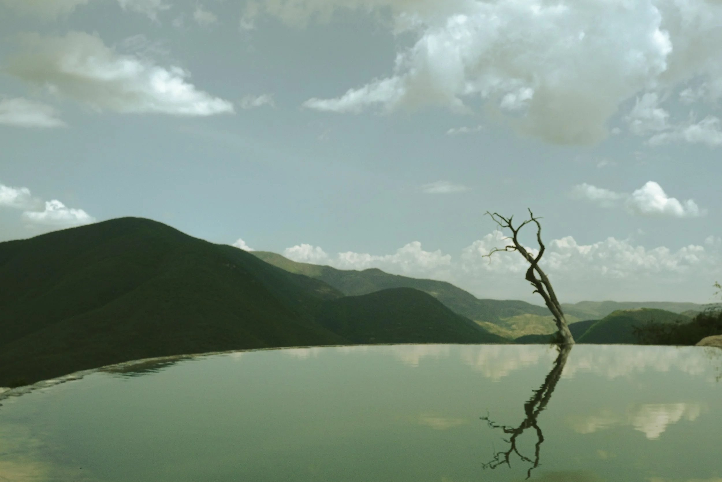 Hierve el Agua pool with bare tree overlooking green mountains