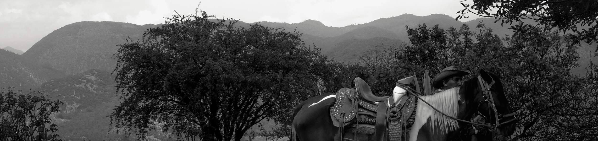 A rancher and his horse in front of the mountains