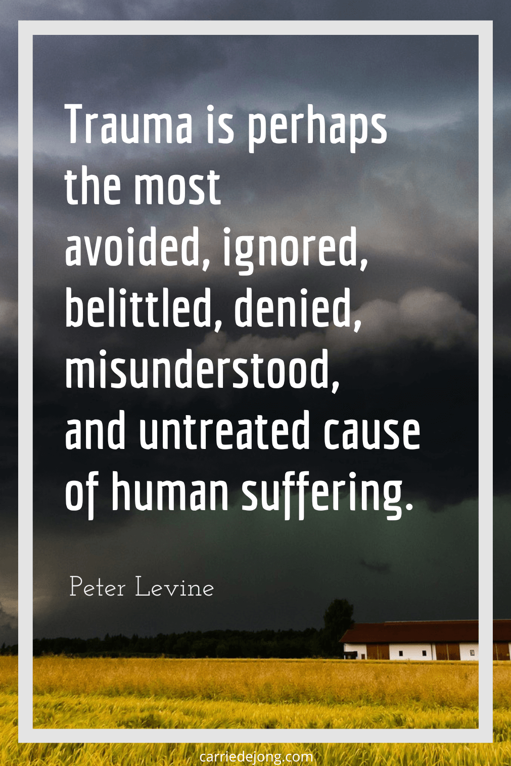 alt="Trauma is perhaps the most avoided, ignored, belittled, denied, misunderstood, and untreated cause of human suffering by Peter Levine"