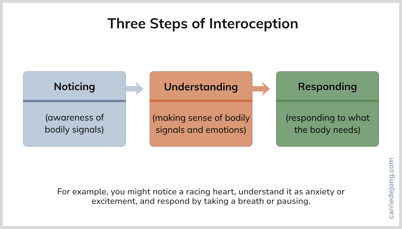 The three steps of interoception are noticing bodily signal, understand and making sense of them, and responding to what the body needs.