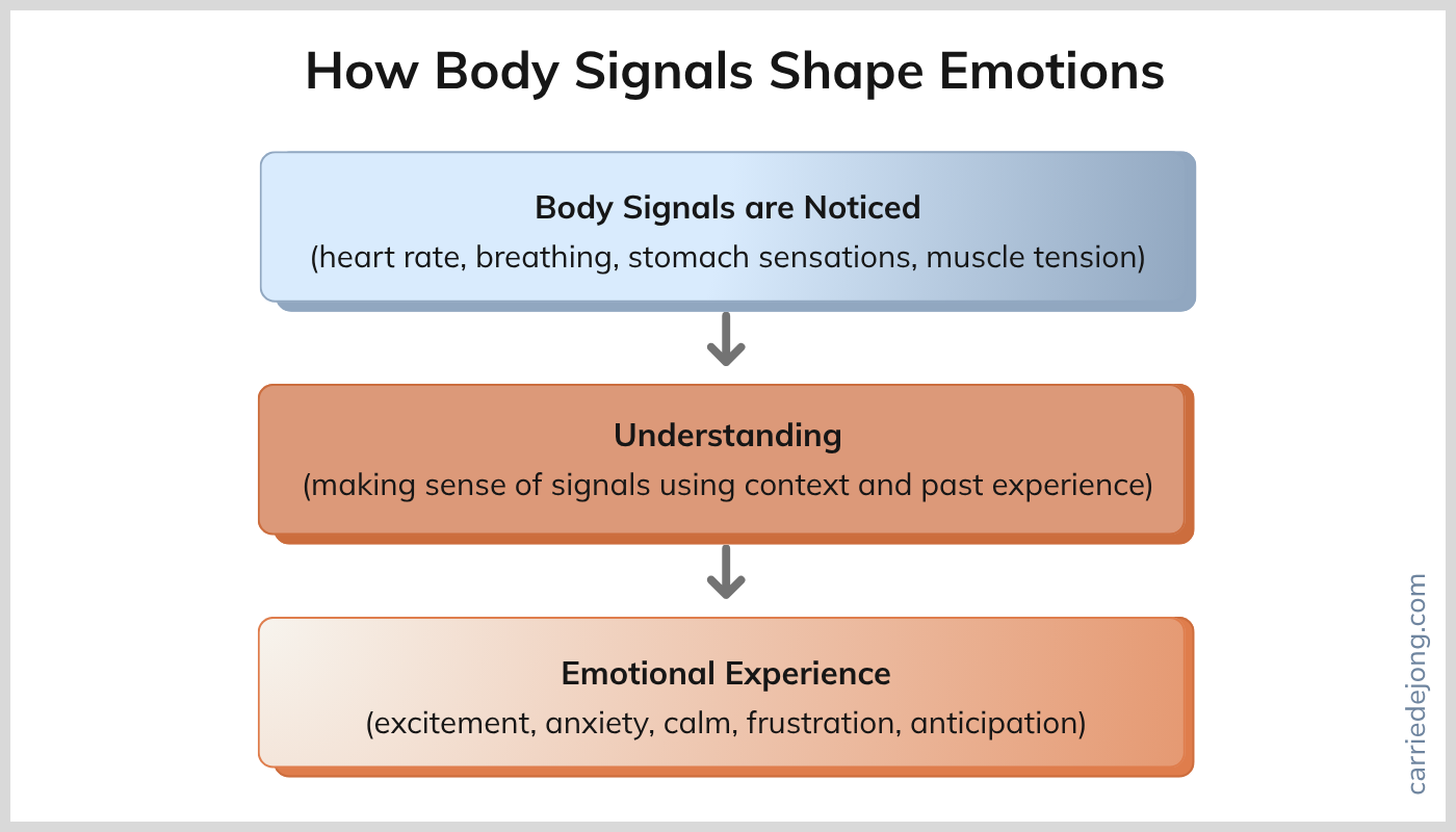 Body signals such as heart rate and tension are noticed. We make sense of them using context and past experience. This creates an emotional experience of excitement, anxiety, or anticipation.