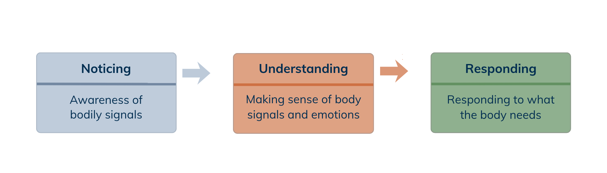 A text-based diagram of the three steps of interoception. Noticing is the awareness of bodily signals which are understood and then responded to.
