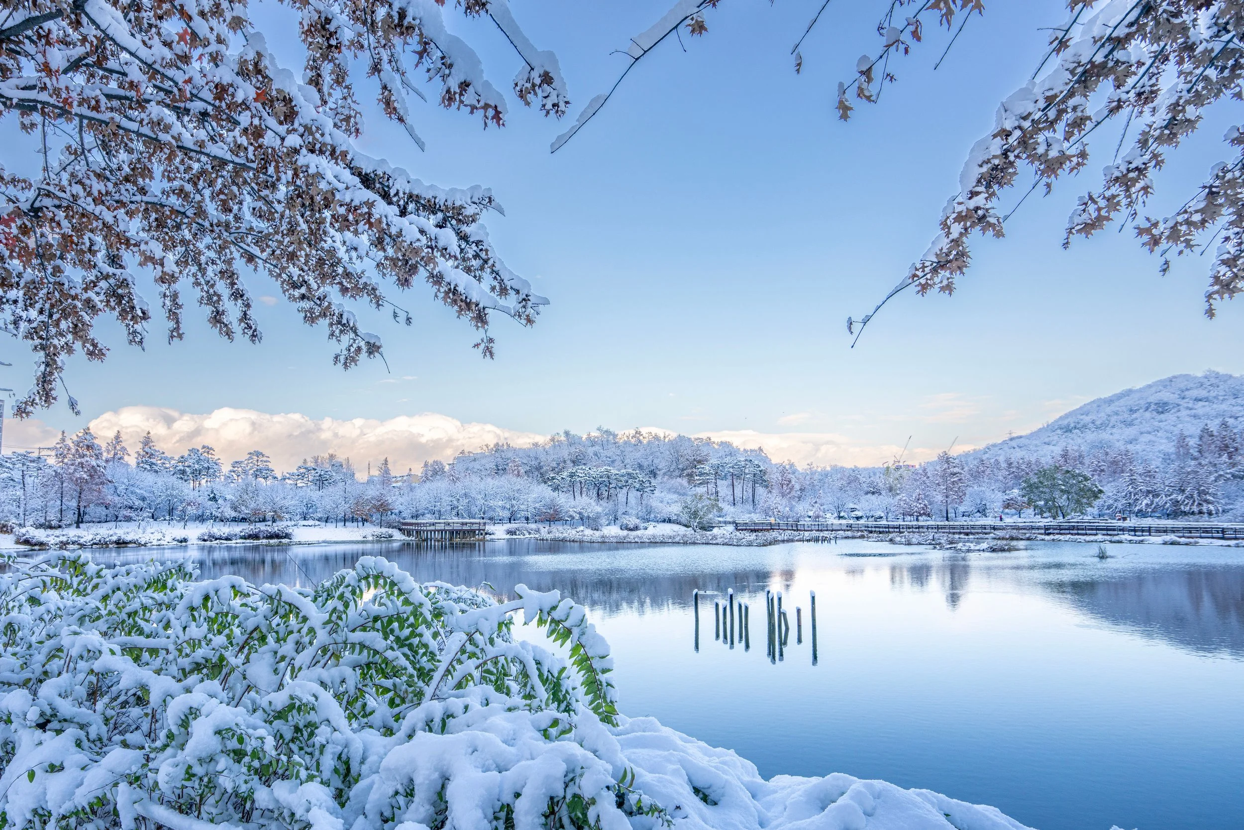 Korea Lake Winter