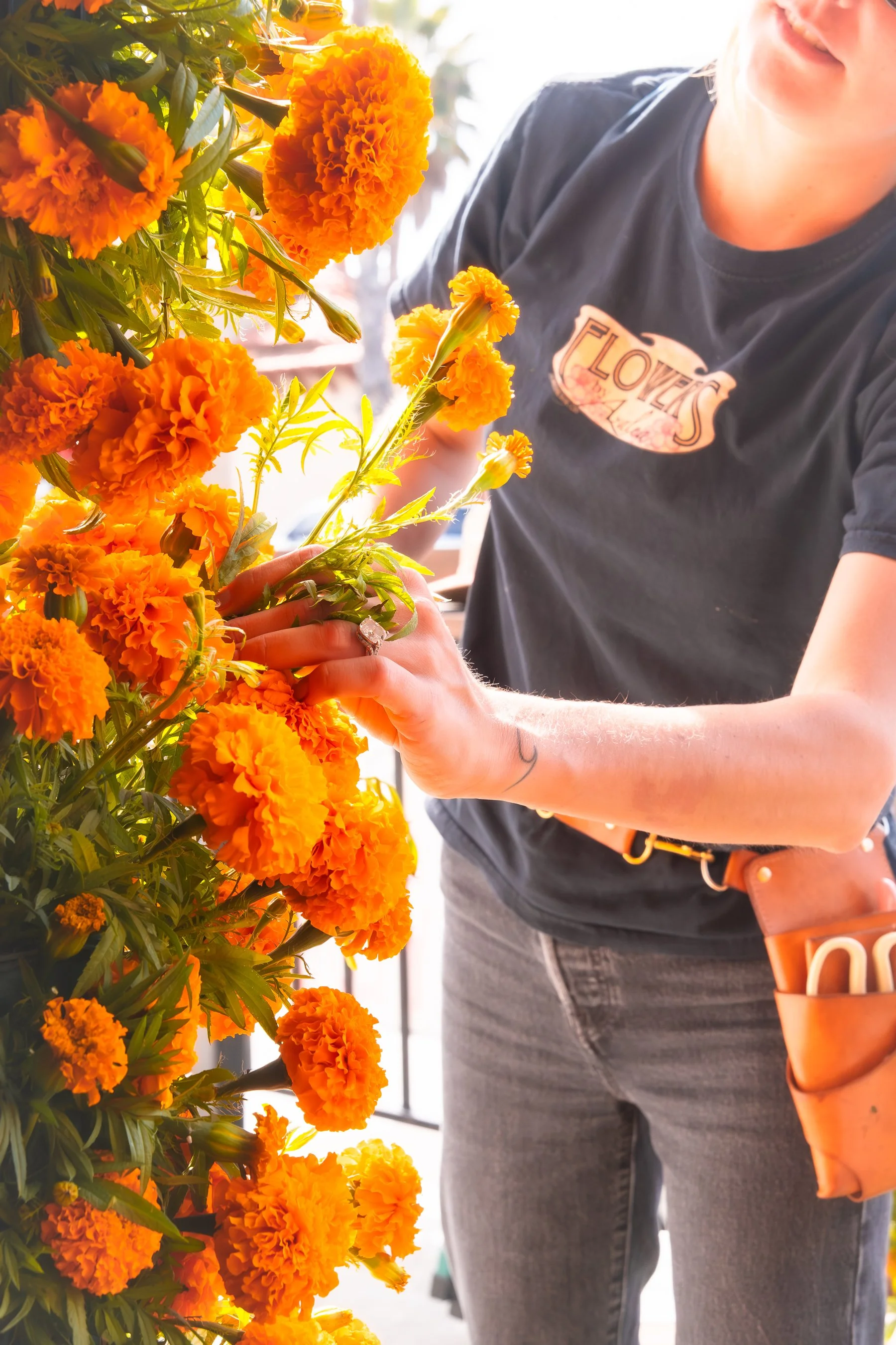 A woman is tending to orange marigold flowers, possibly in a garden or nursery. She is wearing a black t-shirt with a floral design and has a tool pouch hanging from her waist.