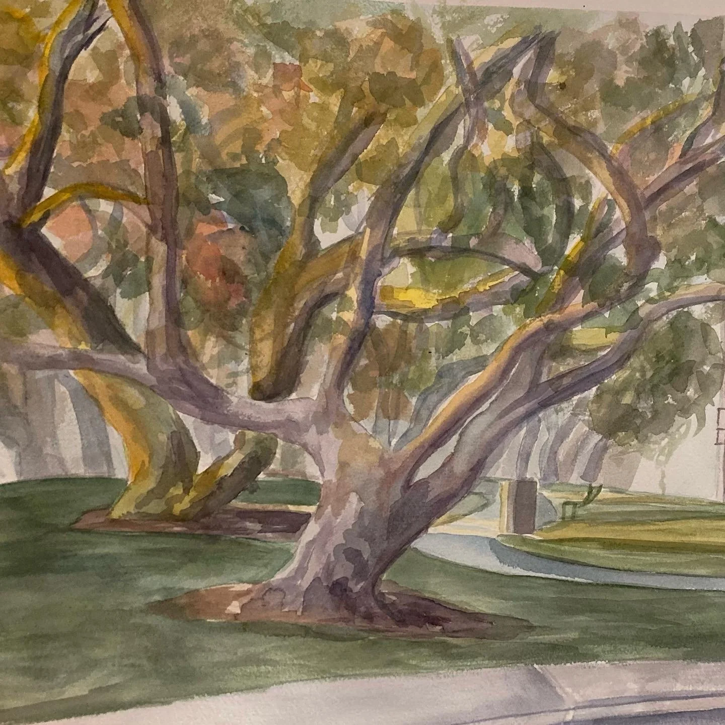 watercolor tree, watercolor on paper, 2022