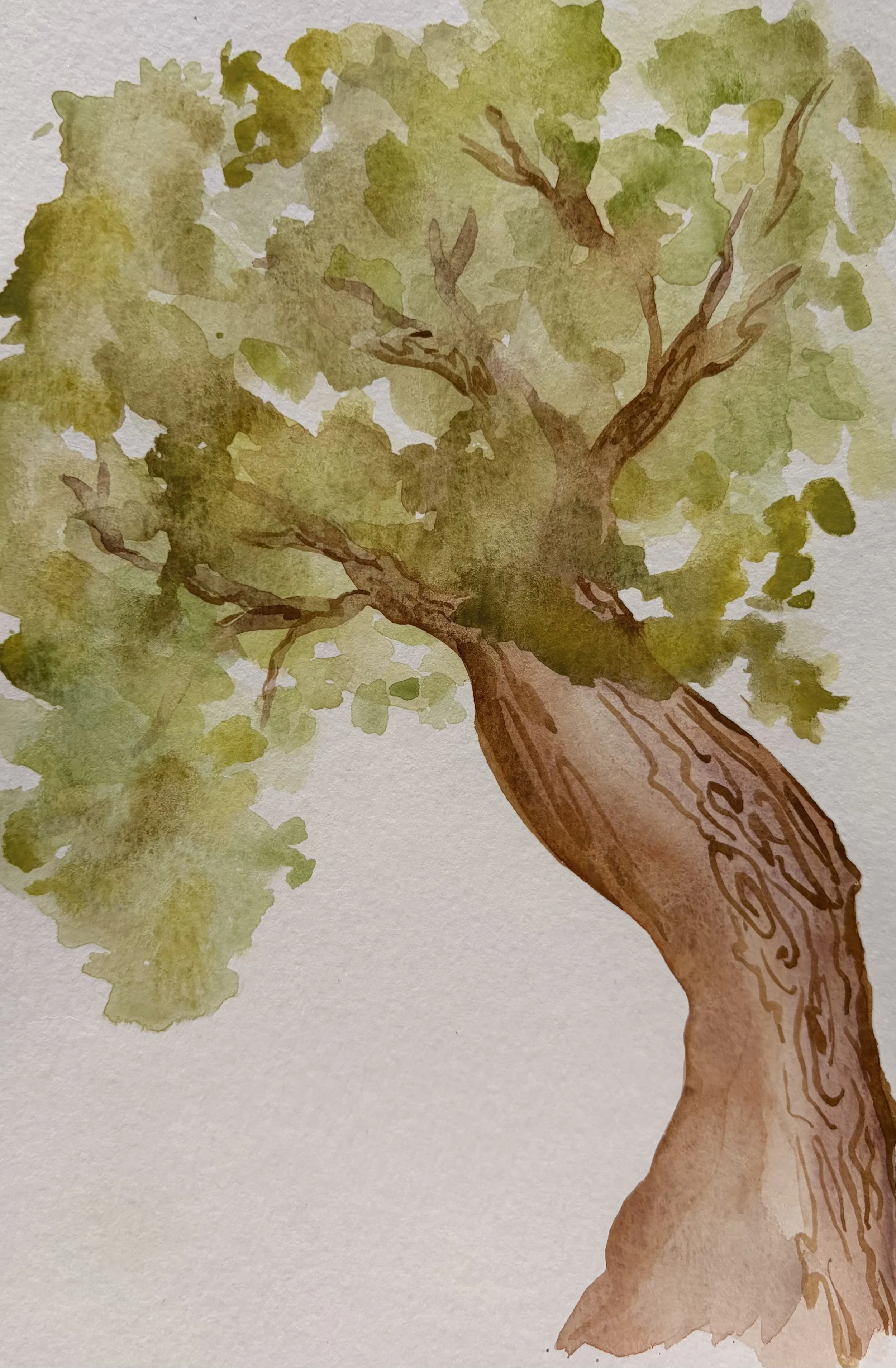 untitled, watercolor on paper, 2024