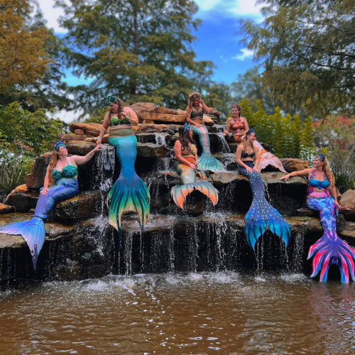 Seven women with mermaid tails sitting on rocks around a waterfall and pond, outdoors with trees in the background.