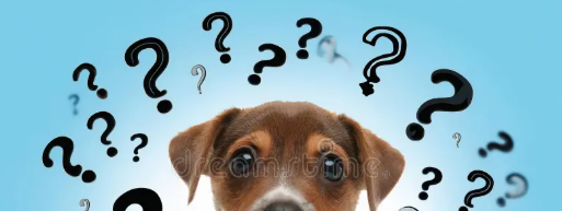 How do I get started as a pup, creature or handler?