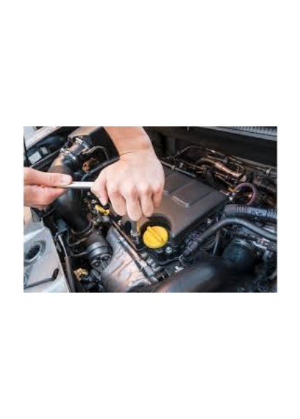 Mechanic Working On Engine.jpg