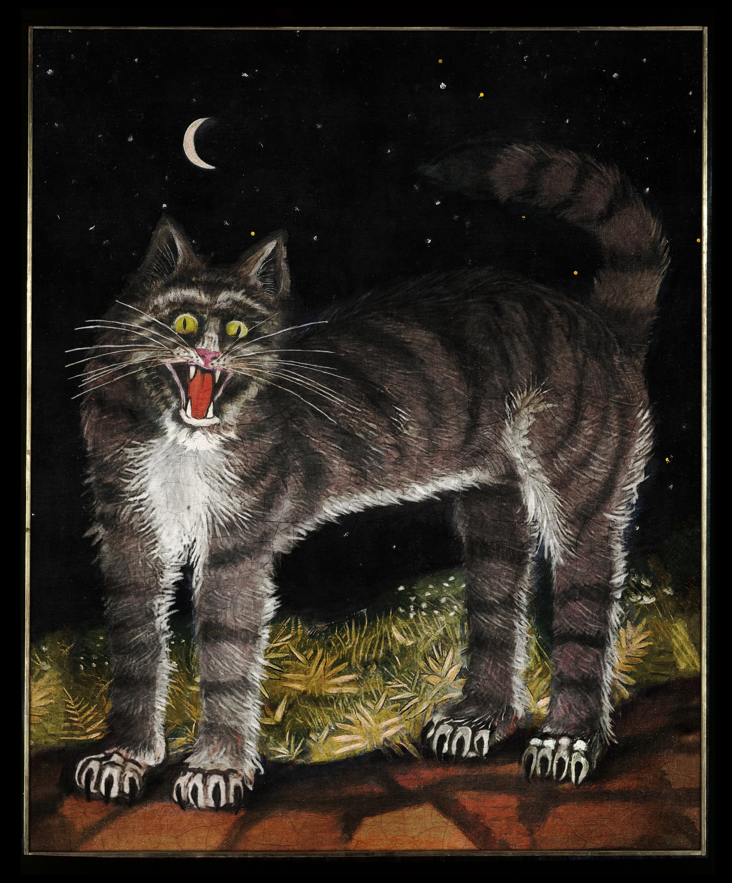 GATTO PAZZO - 58 x 73 cm