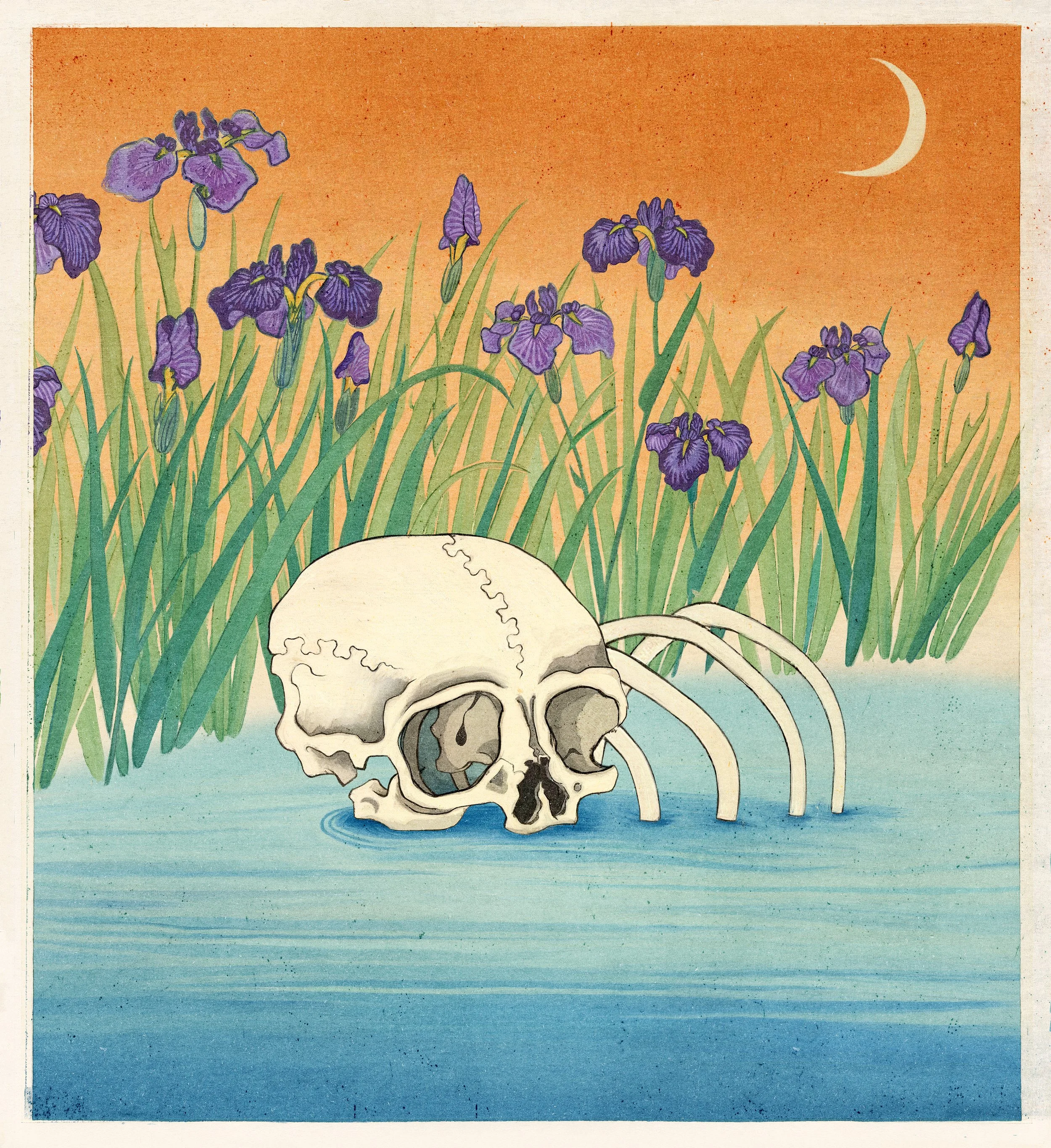 SKULL IRIS 37 x 37 cm