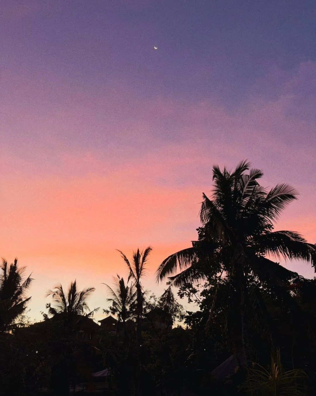 POV from our deck. Not long till Ubud's pink skies make a comeback