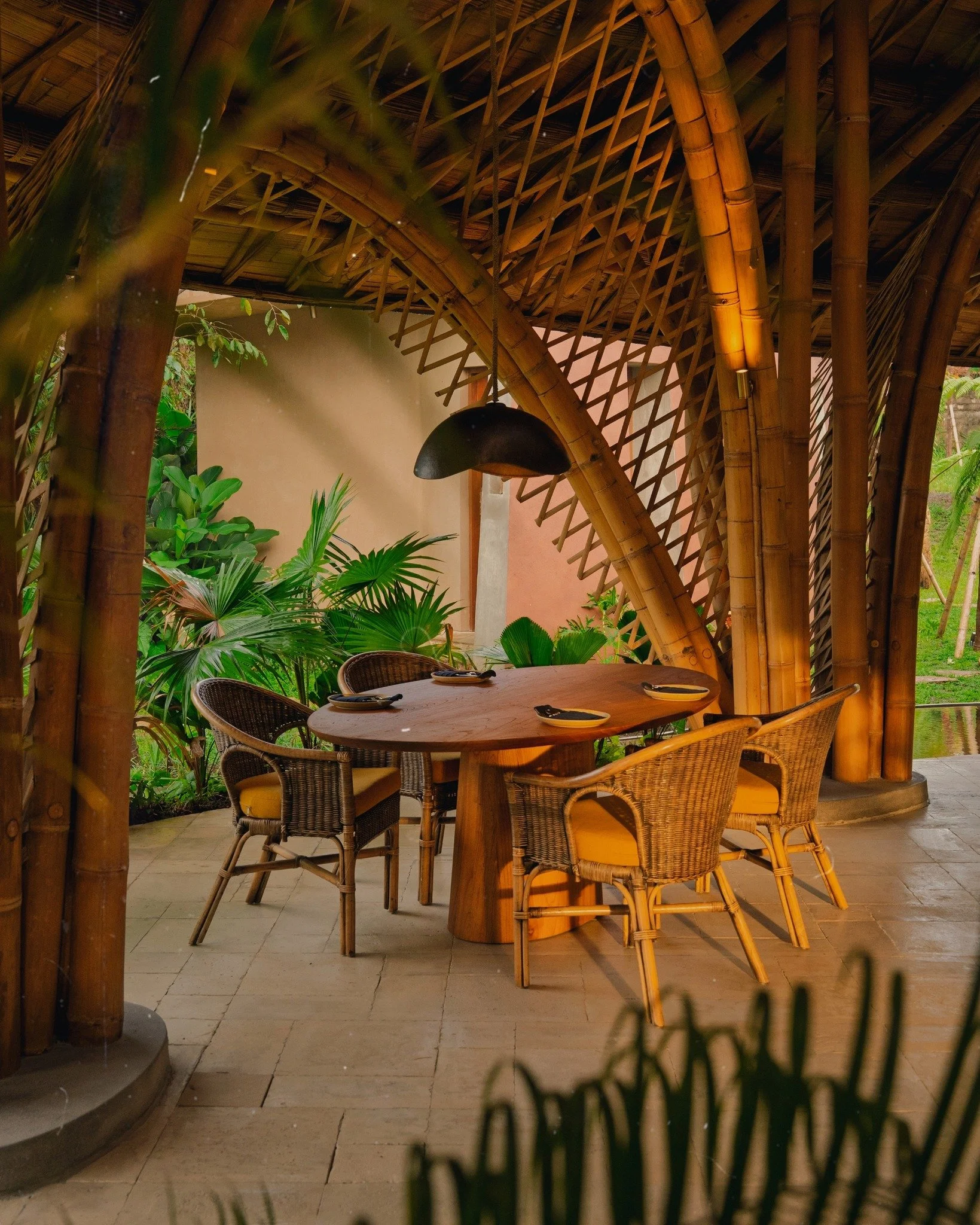 Something about our bamboo structure basking in the late afternoon sun