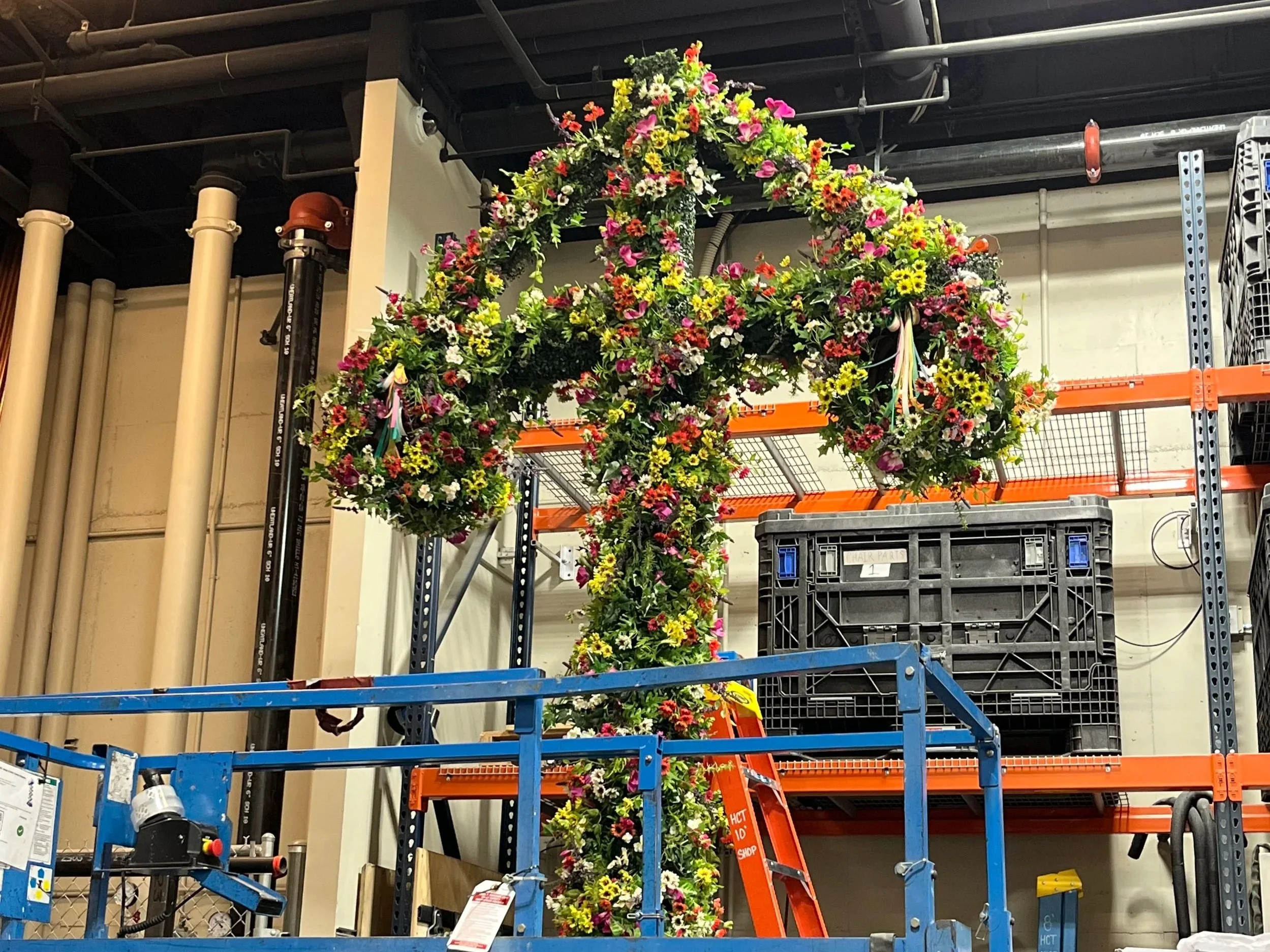 Maypole dressing. Frozen (HCT).