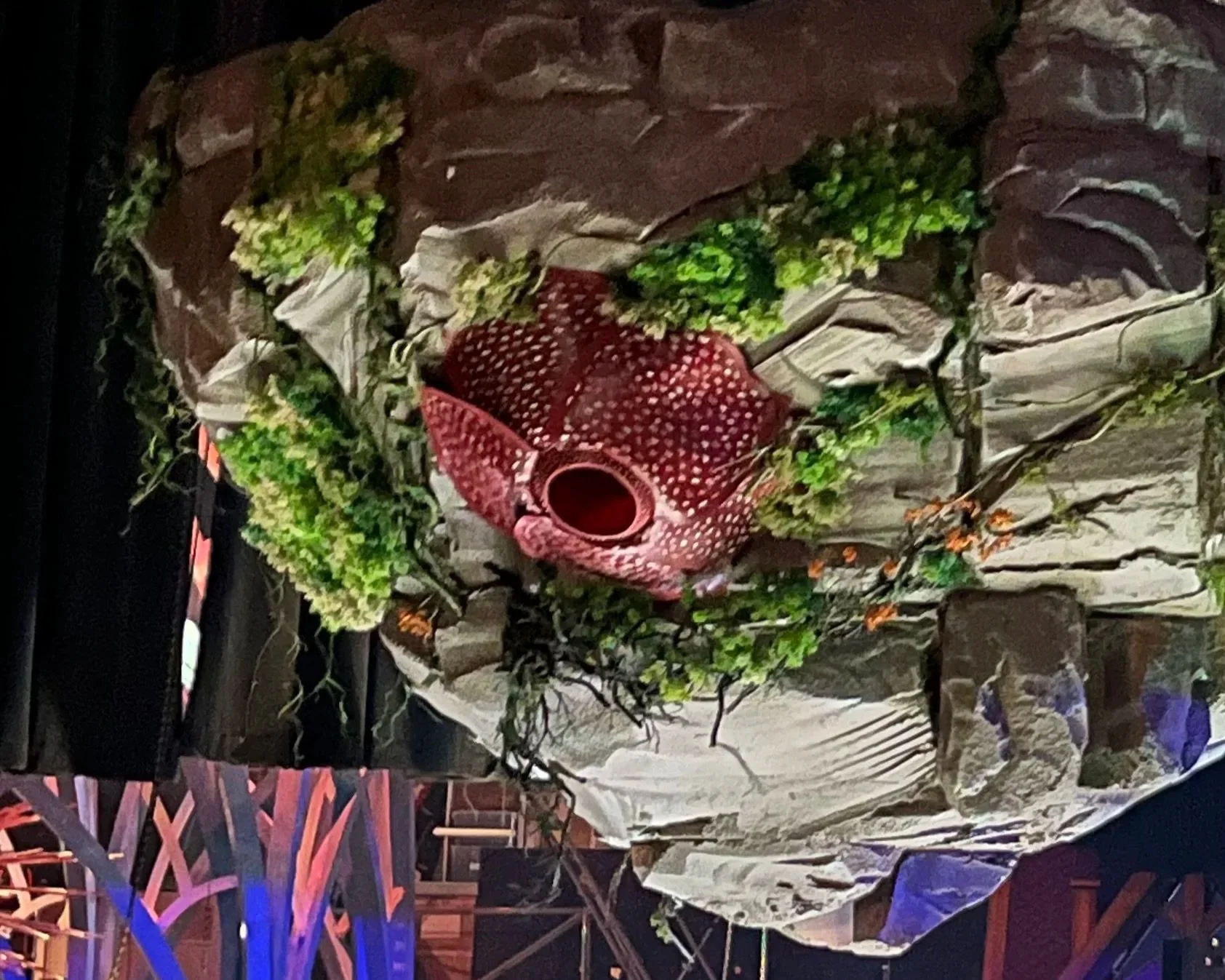 Liminal World dressing. Frozen (HCT).