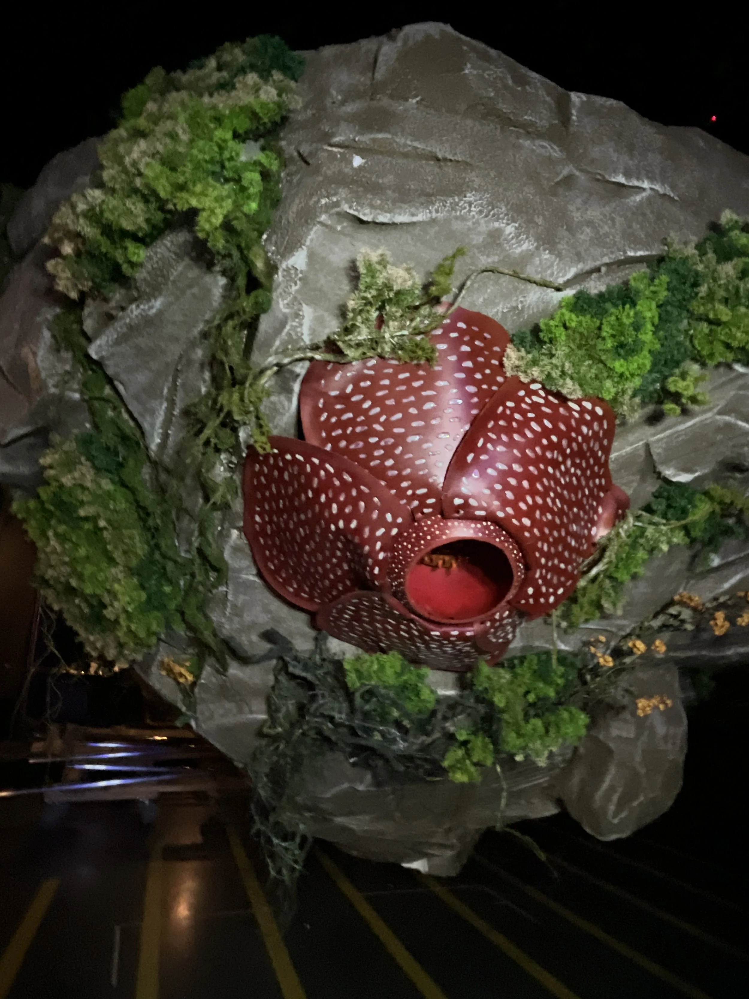 Liminal World dressing. Frozen (HCT).