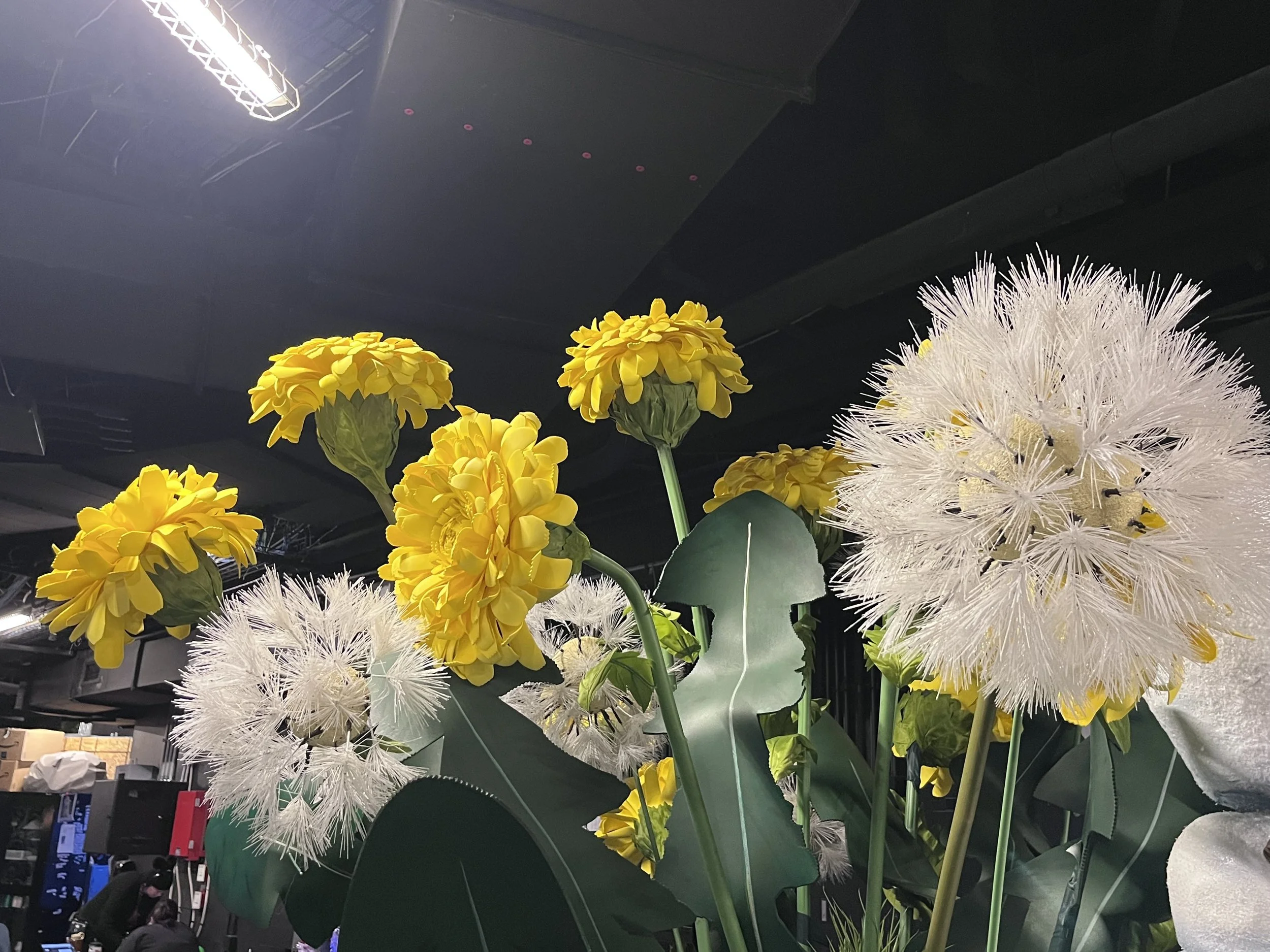 Large-scale dandelion flowers and seeds made from foam sheets and plastic.