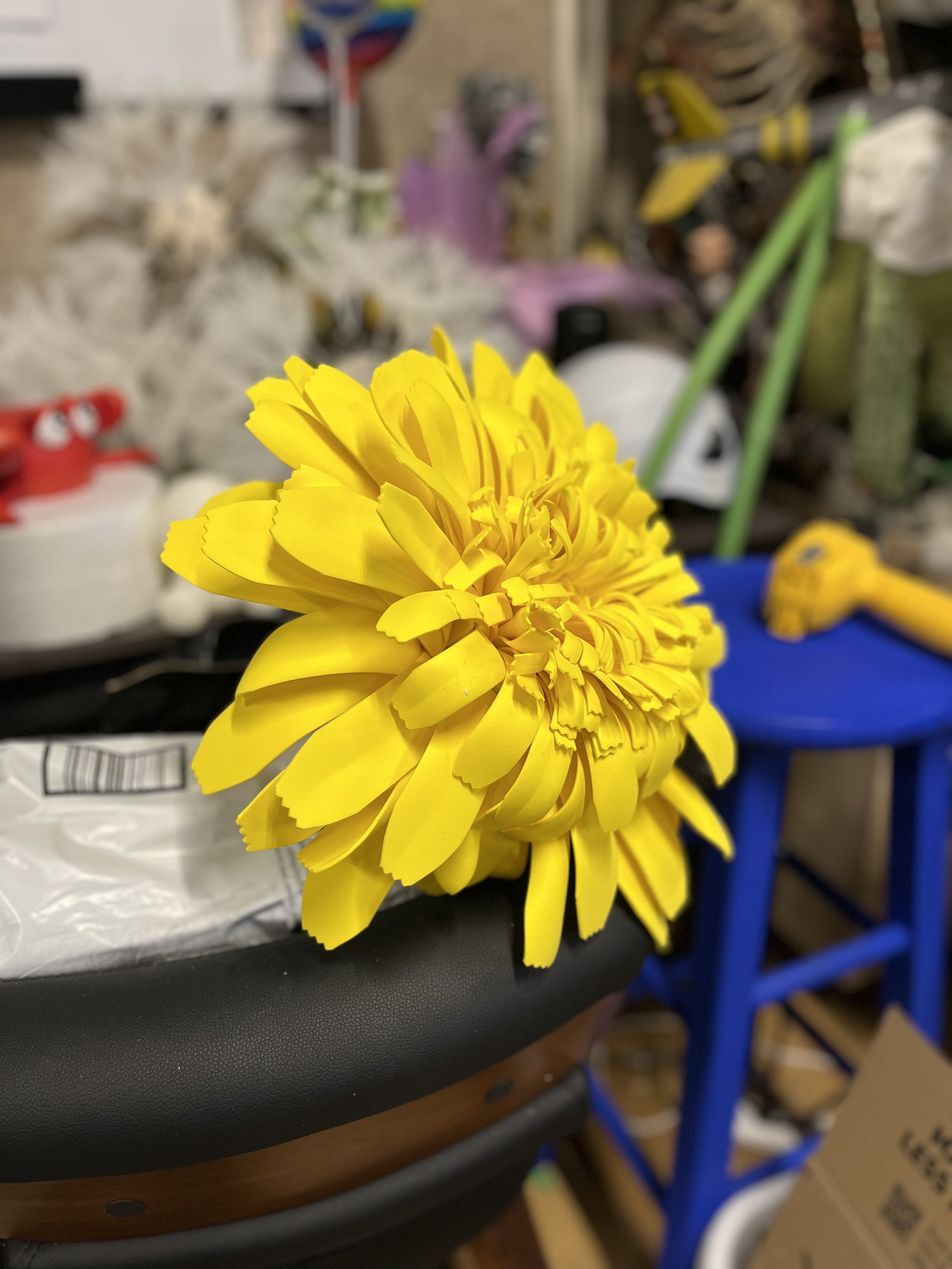 IMG_2366.jpeg