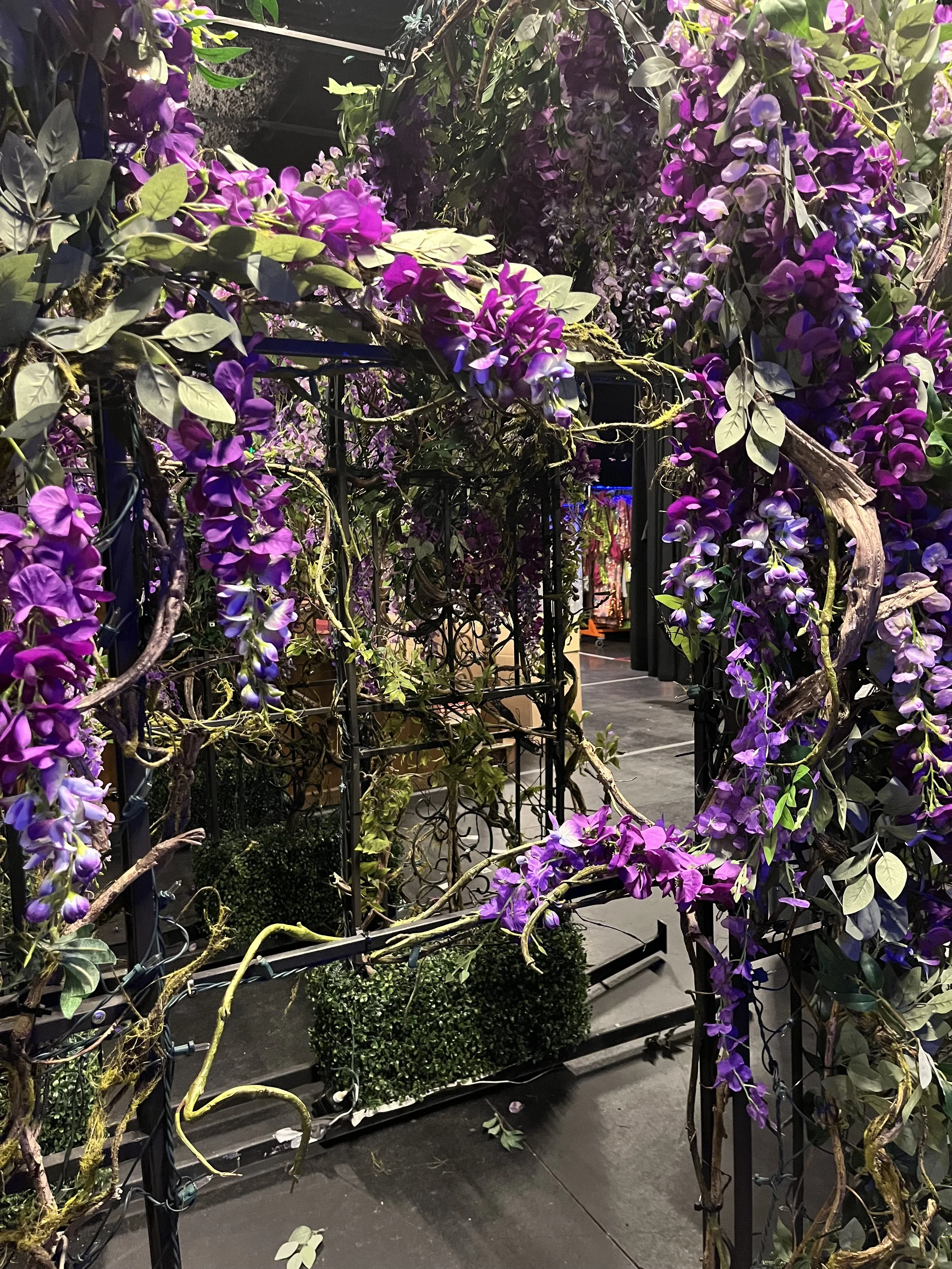Wisteria arches. Frozen (HCT).