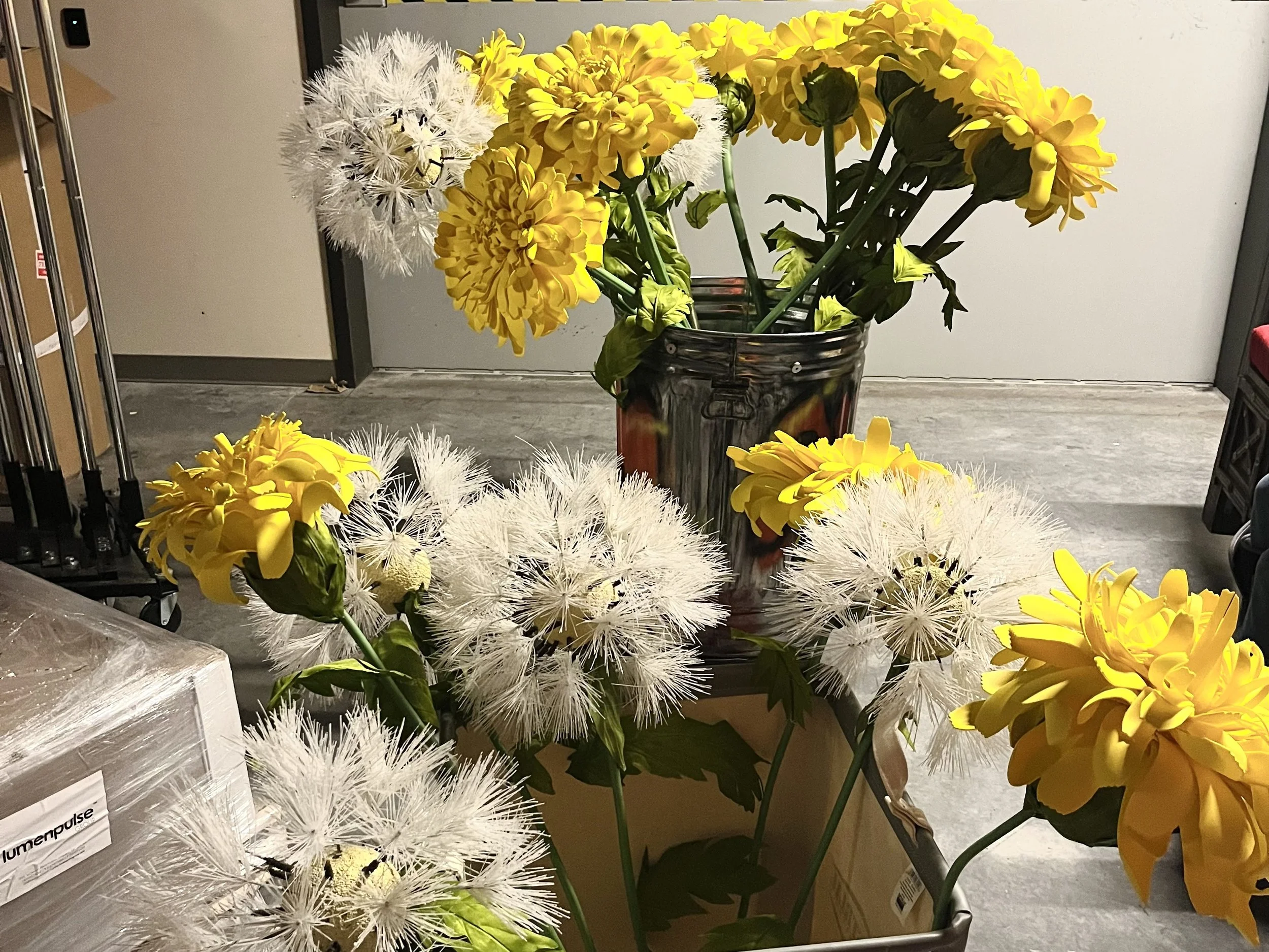 Large-scale dandelions.