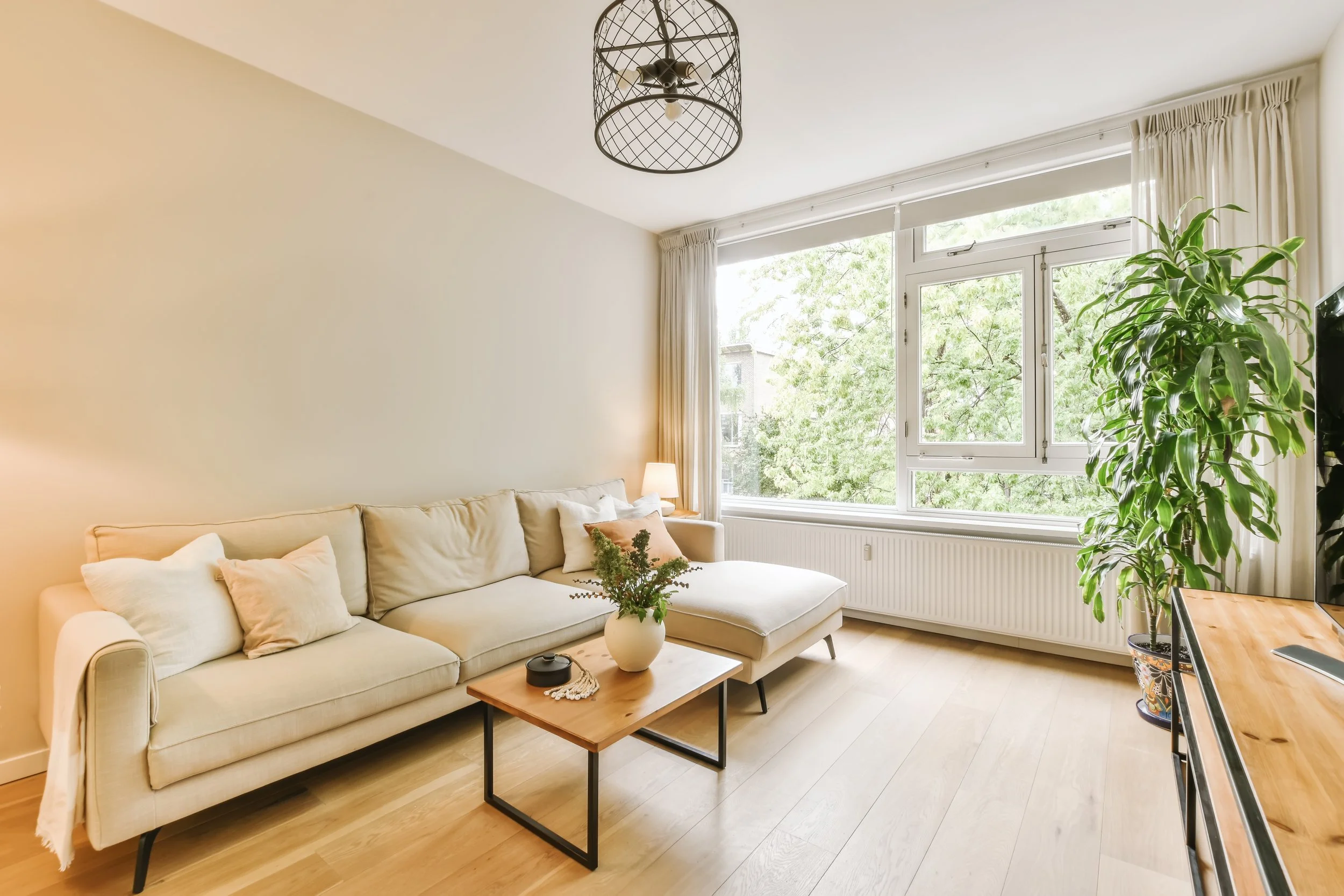 Bright living room with cream sofa, small wooden coffee table with a potted plant, large window with greenery outside, tall indoor plant, and light-colored wooden flooring.