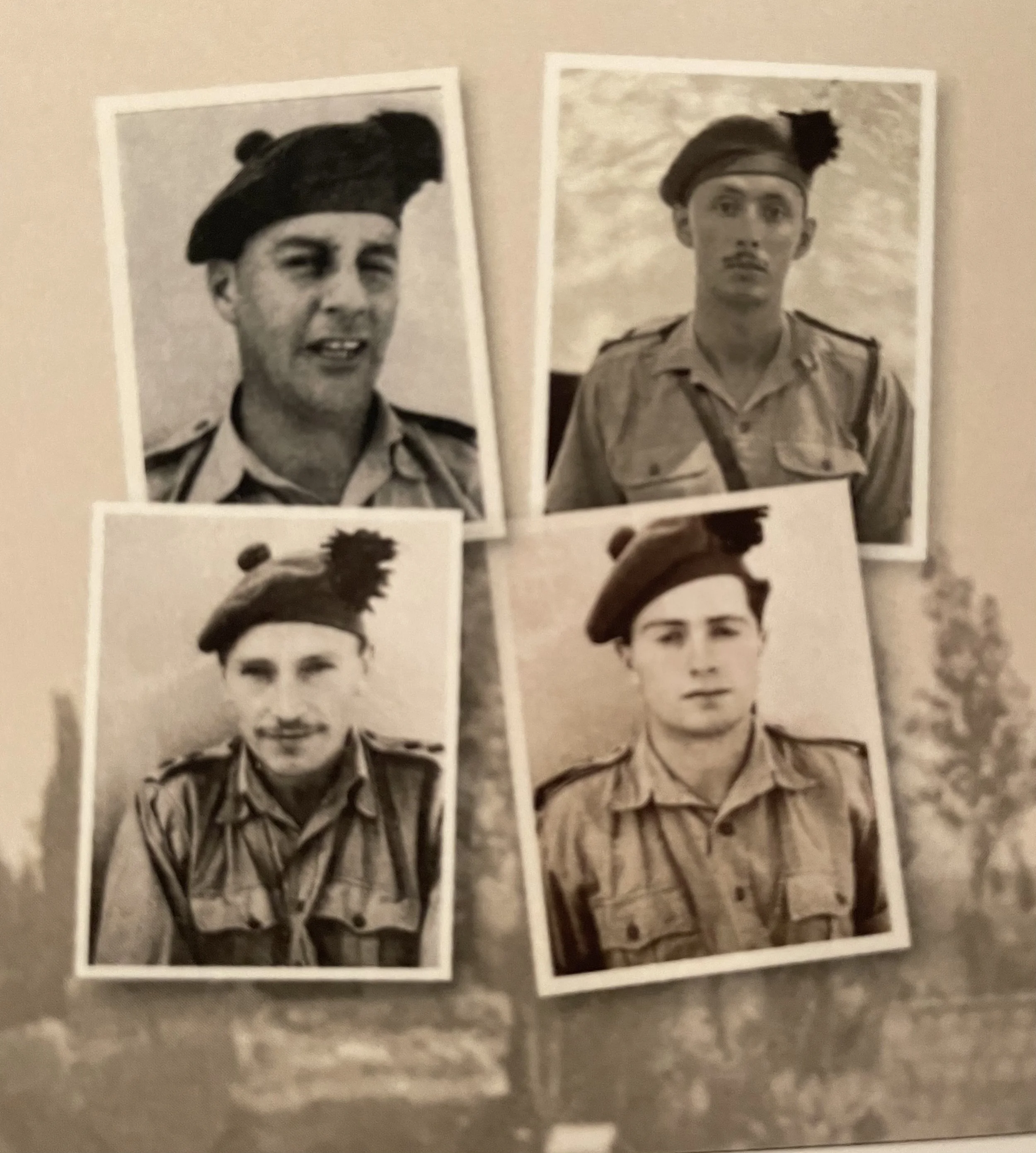 Operation Exporter and the Battle of Litani River