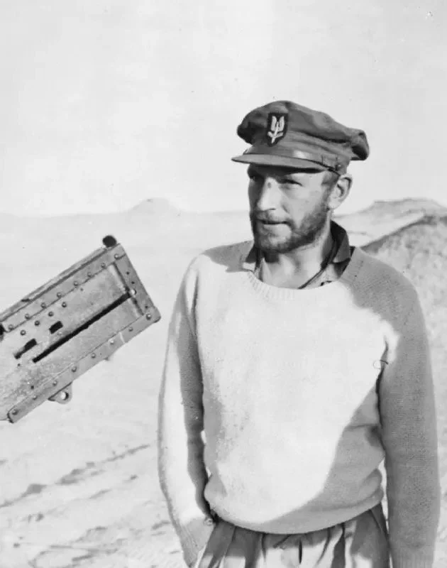 Paddy Mayne - Ian McHarg