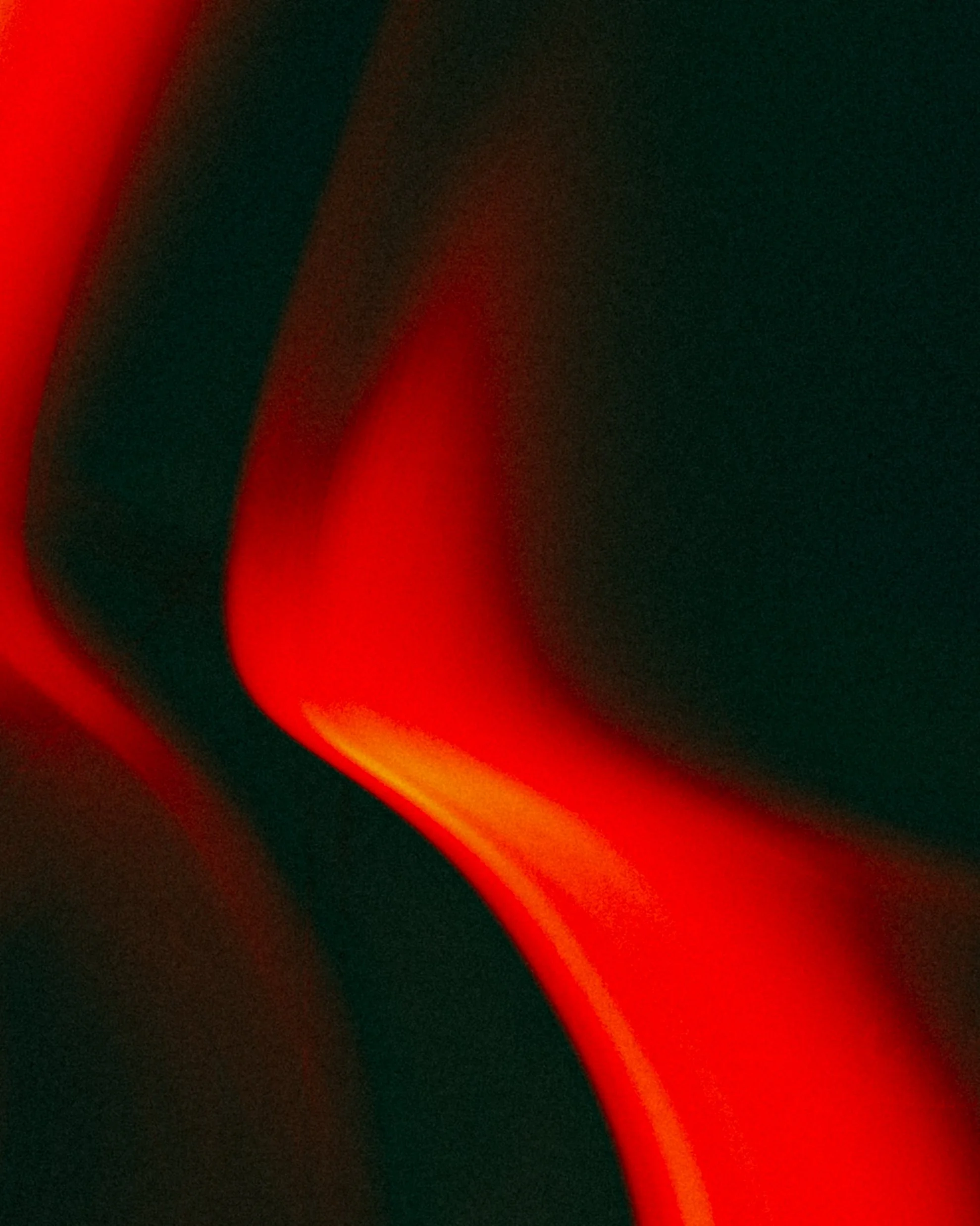 NO_04101-6.jpg