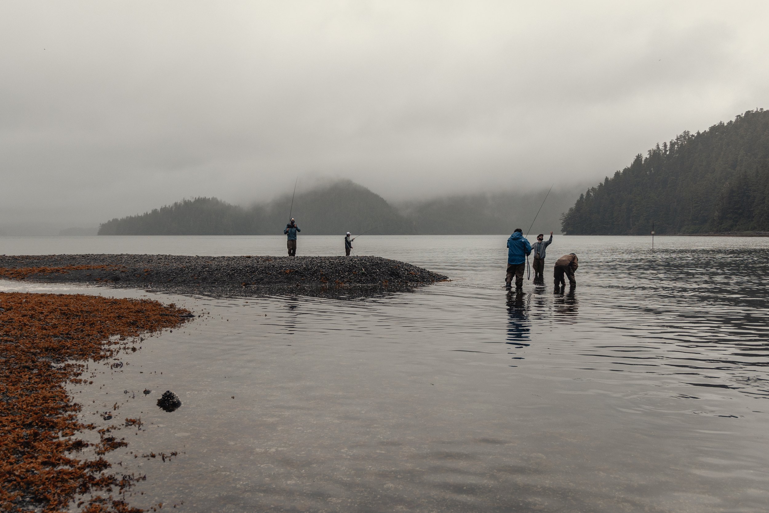 Four people fishing along the shoreline of a foggy lake, surrounded by forested hills.