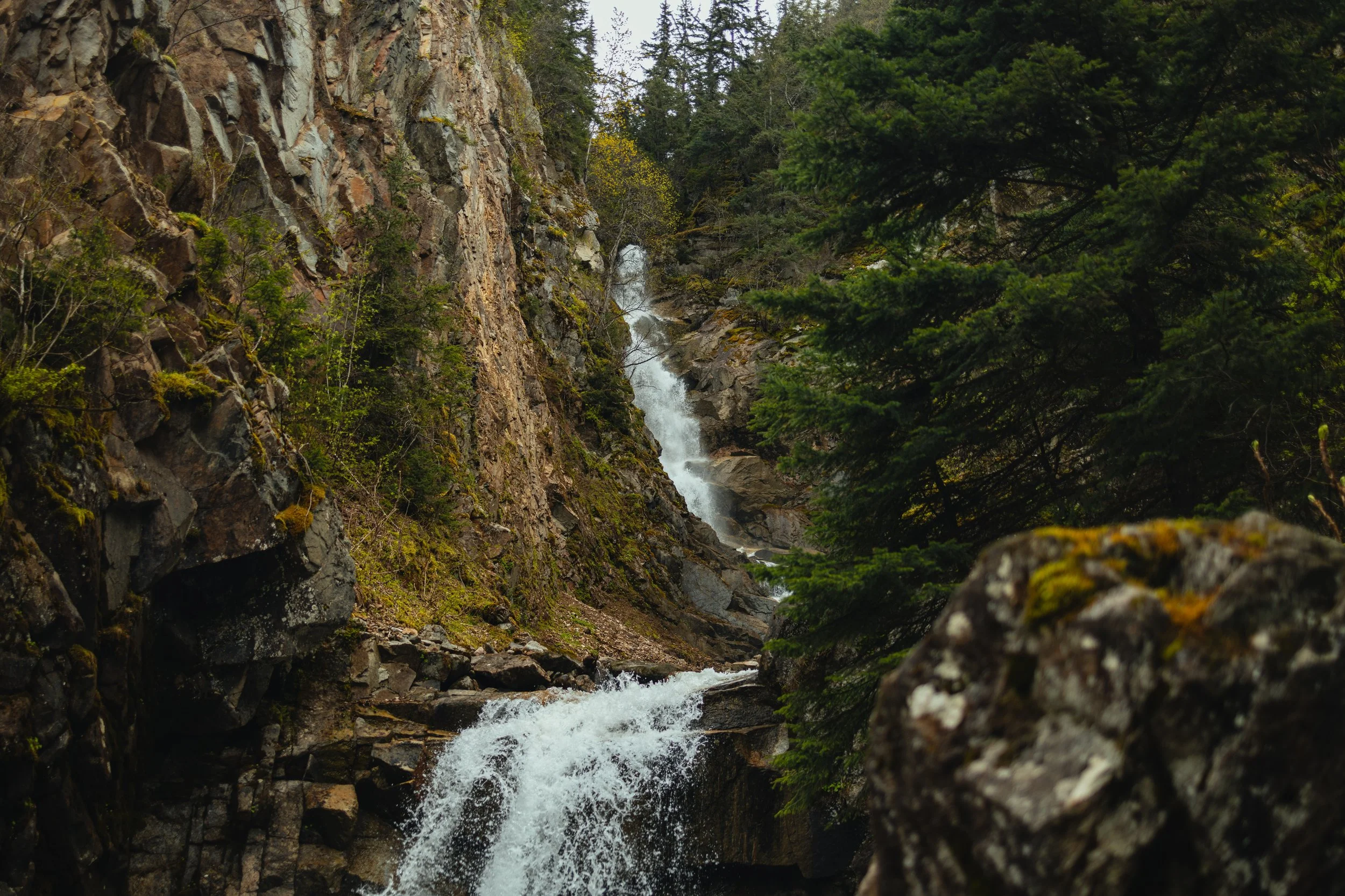 A mountain stream flowing through rocks and greenery, with trees on either side and a small waterfall in the background.